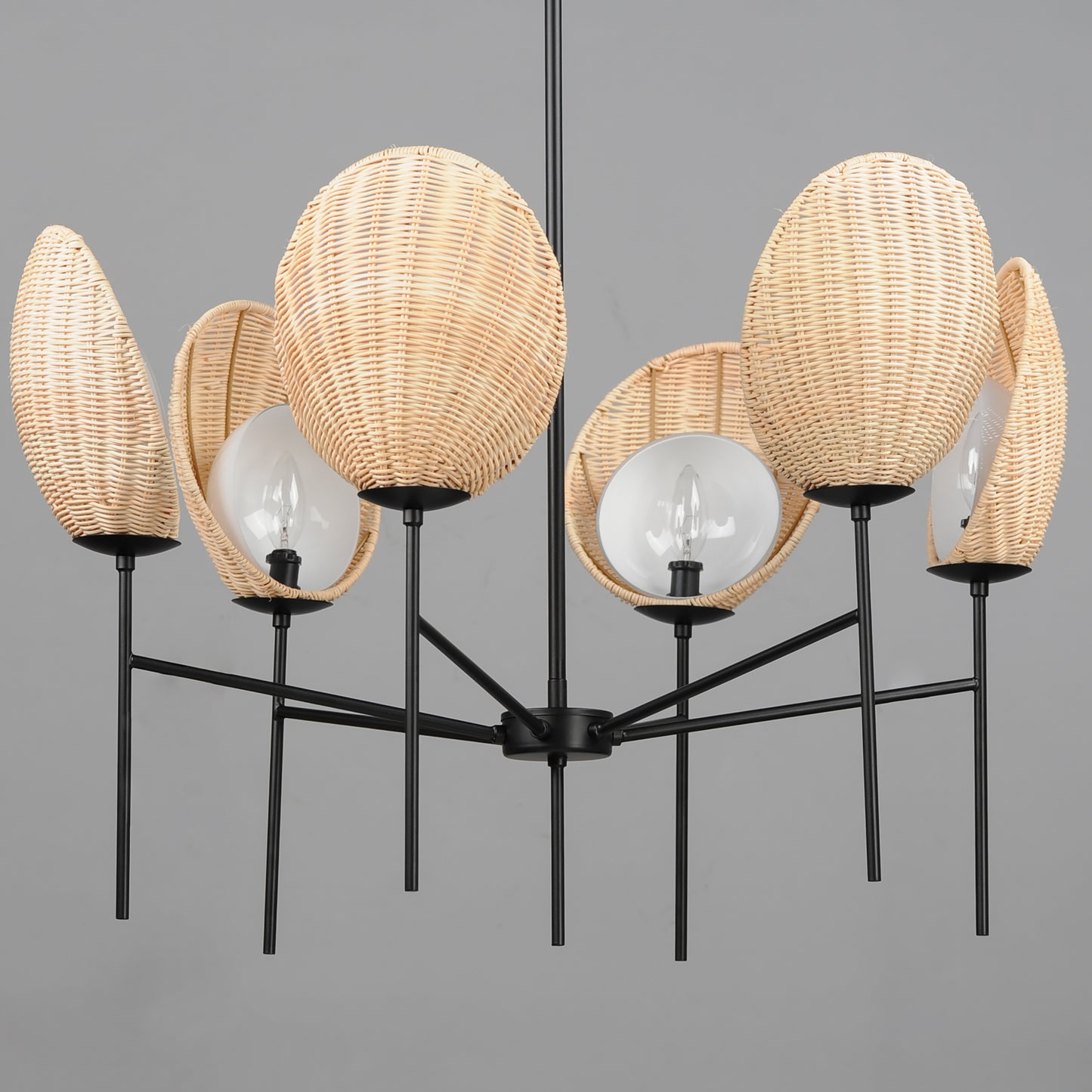 Maldives 6-Light Chandelier Black by Maxim Lighting