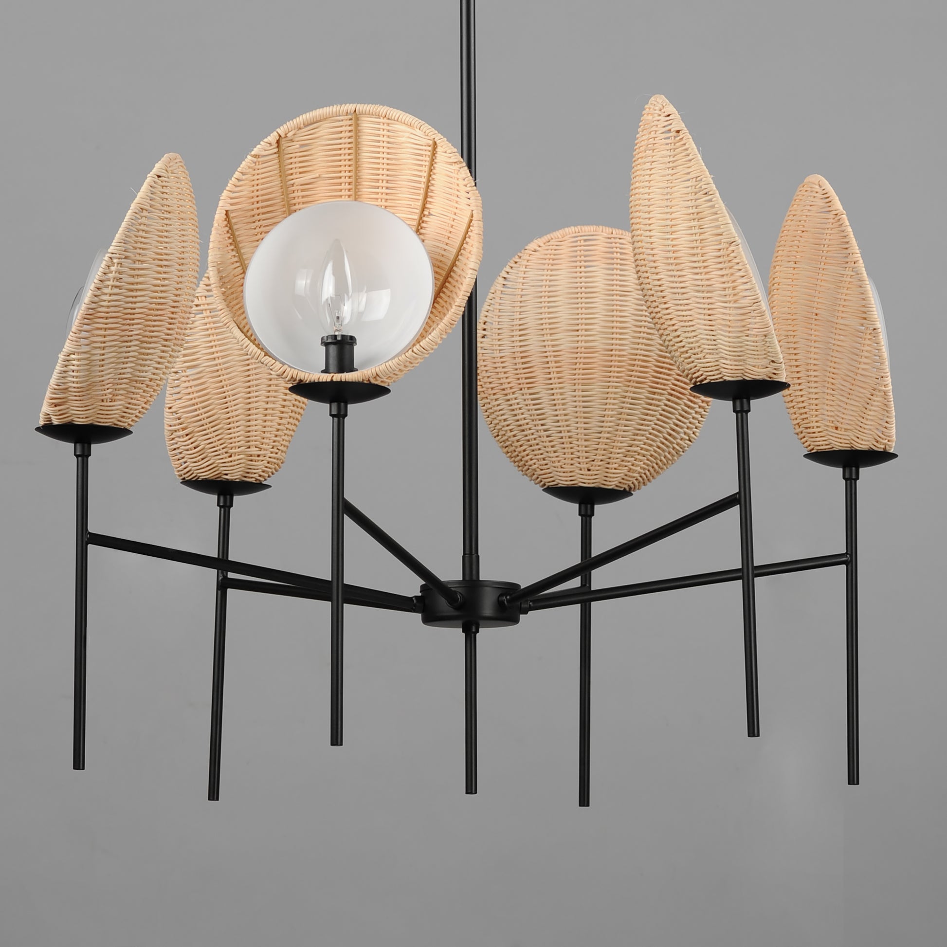 Maldives 6-Light Chandelier Black by Maxim Lighting