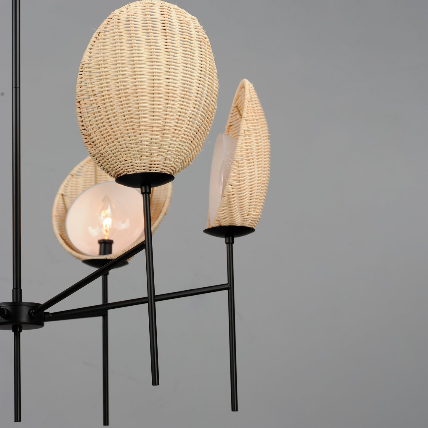 Maldives 6-Light Chandelier Black by Maxim Lighting