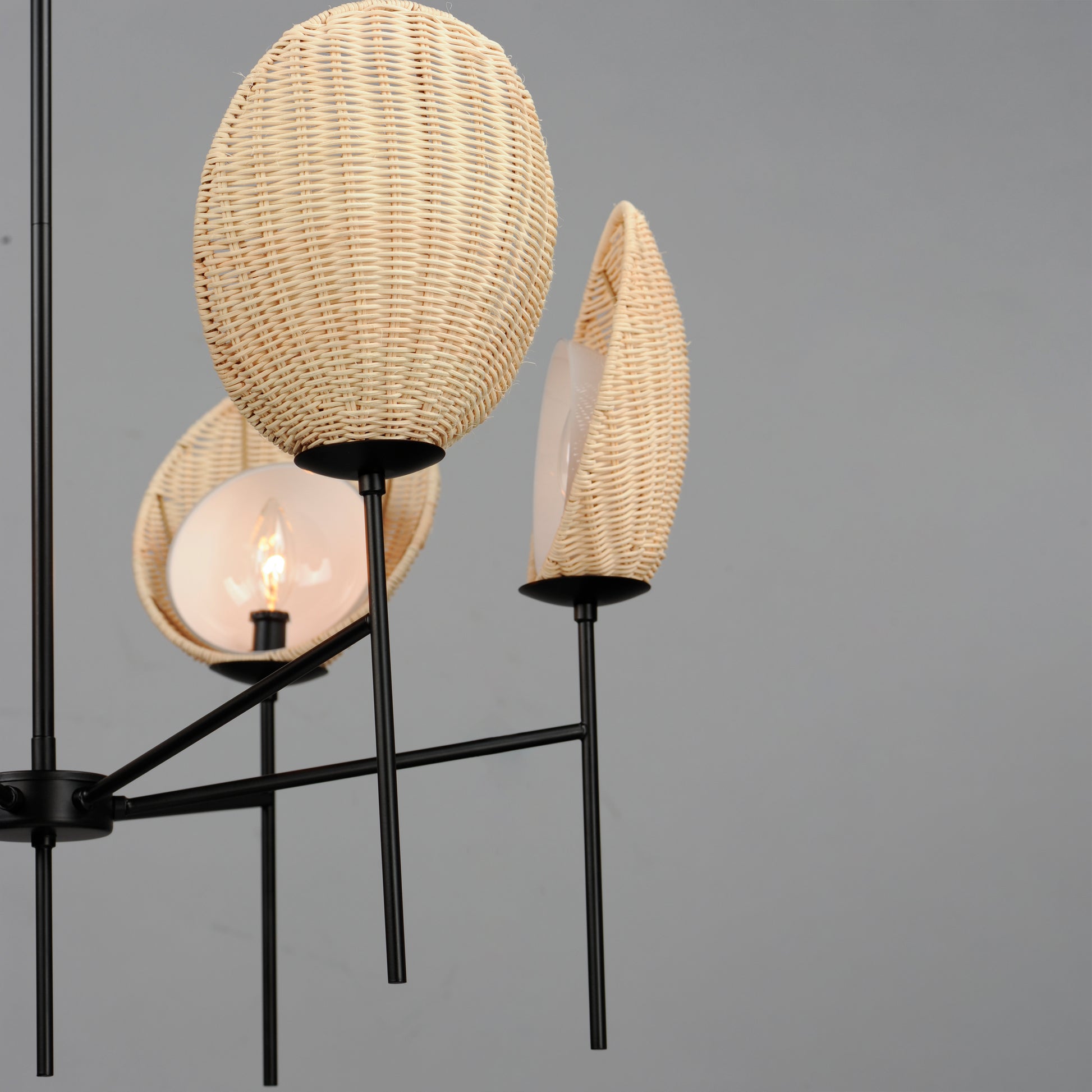 Maldives 6-Light Chandelier Black by Maxim Lighting