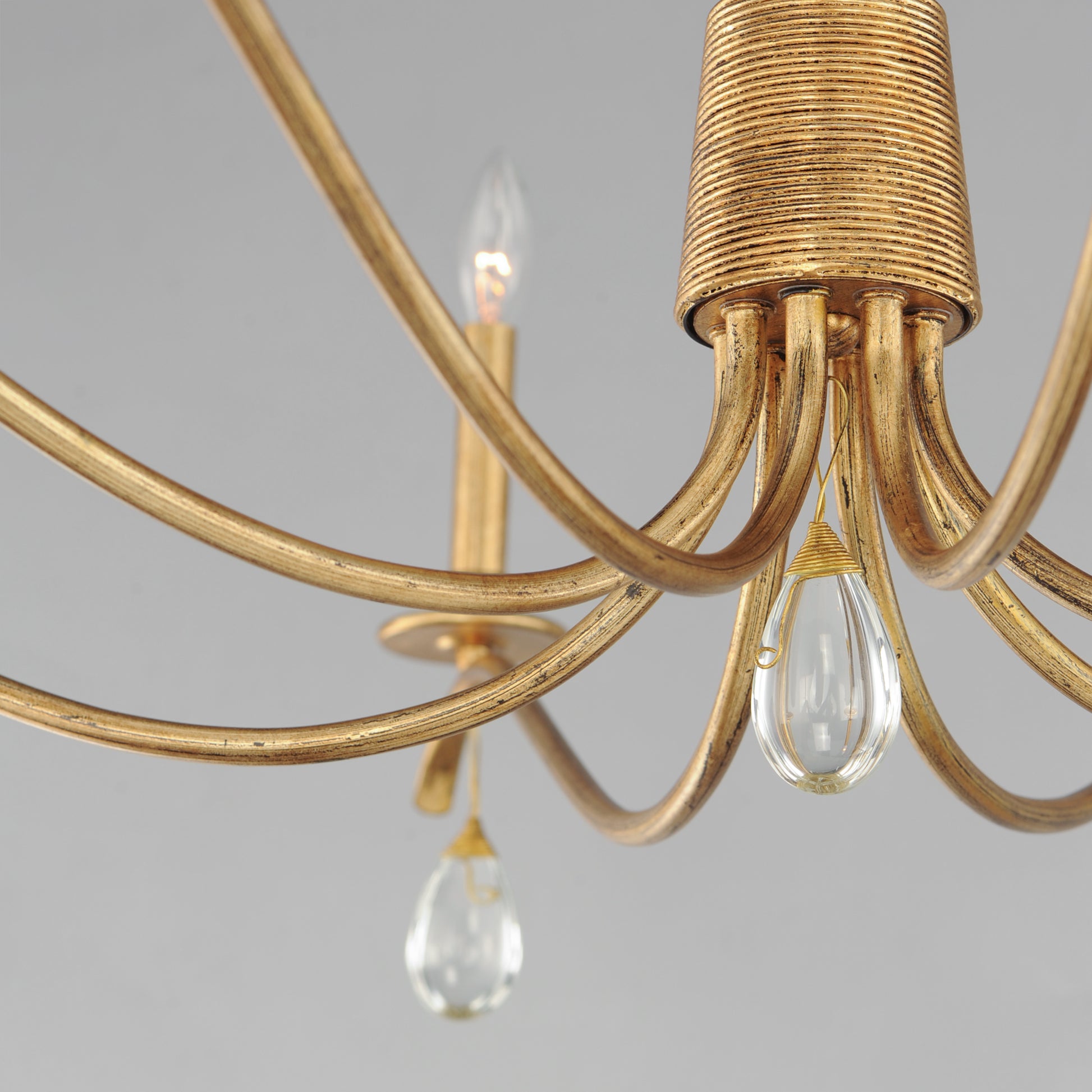 Eden 8-Light Chandelier Charcoal Gold Leaf by Maxim Lighting