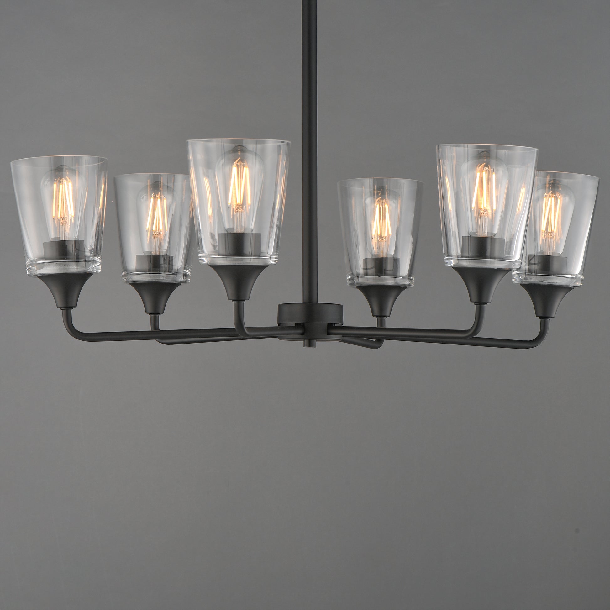 Hudson 6-Light Chandelier Black by Maxim Lighting