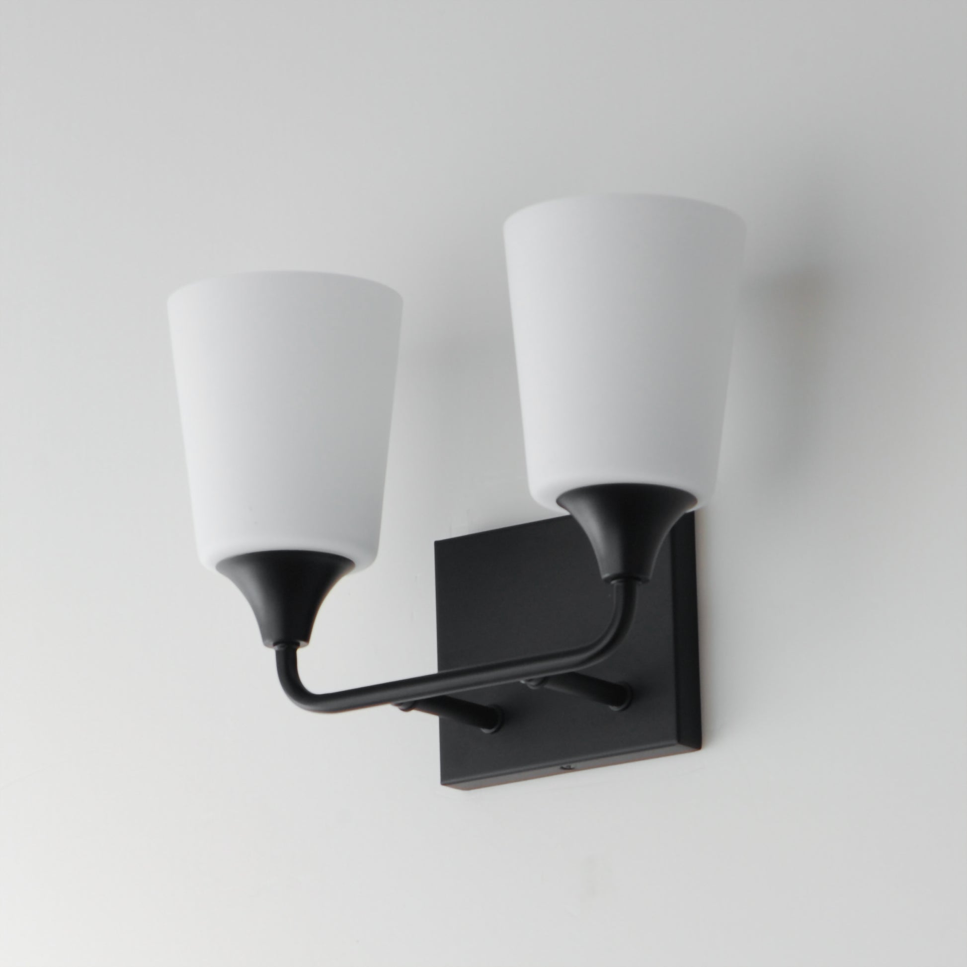 Hudson 2-Light Bath Vanity Black by Maxim Lighting