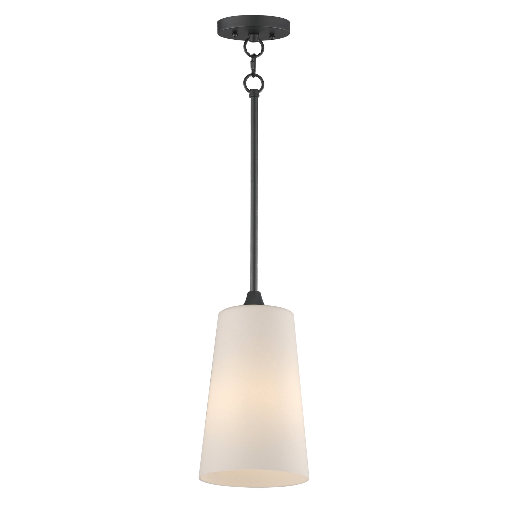 Hudson Pendant Black by Maxim Lighting