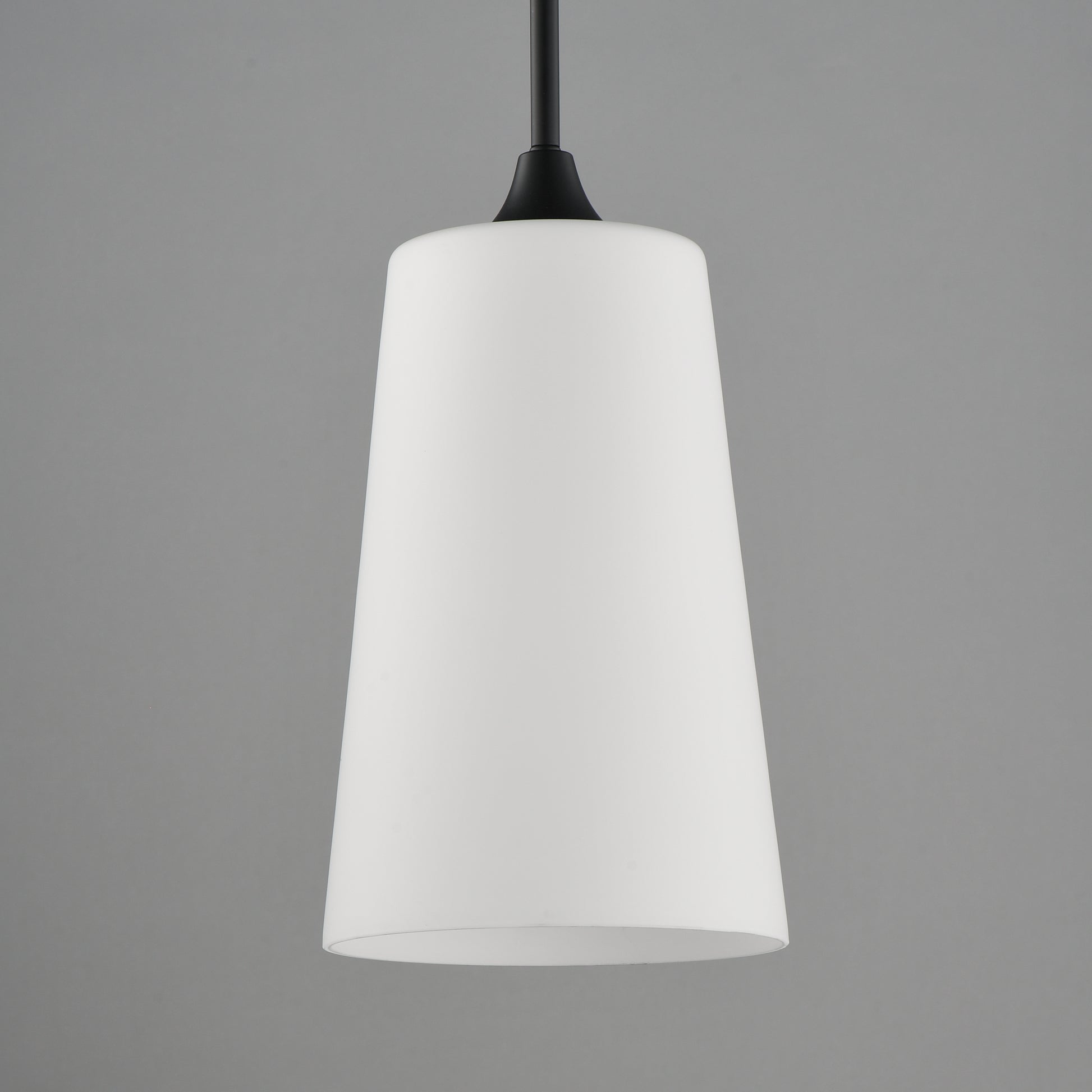 Hudson Pendant Black by Maxim Lighting