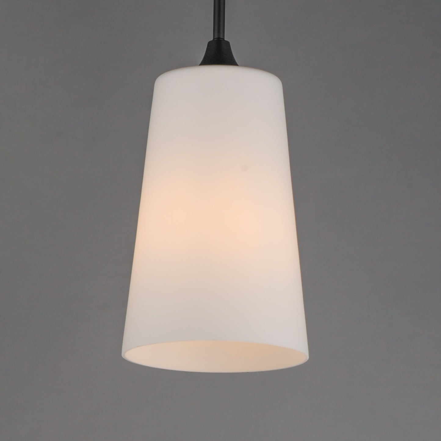 Hudson Pendant Black by Maxim Lighting