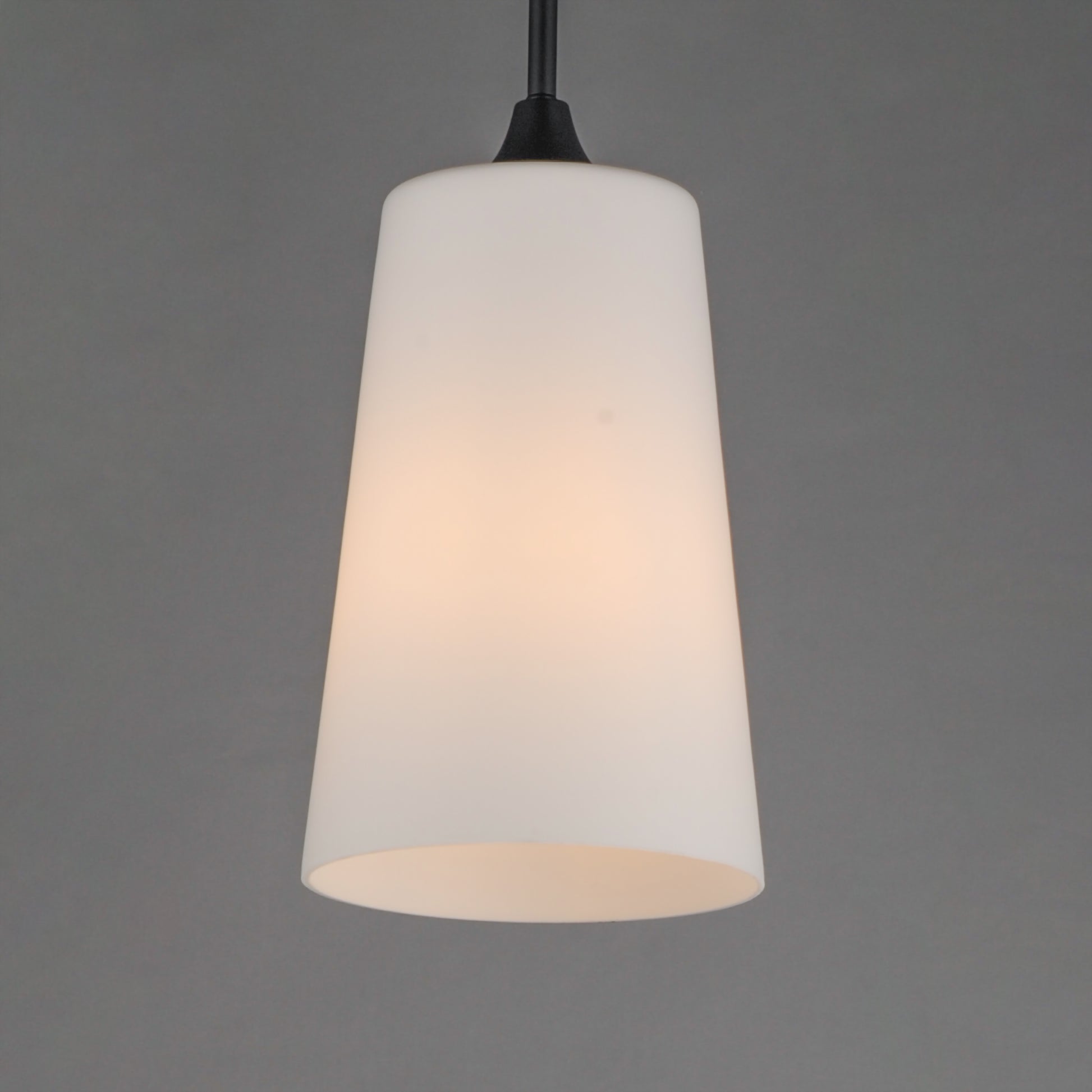 Hudson Pendant Black by Maxim Lighting