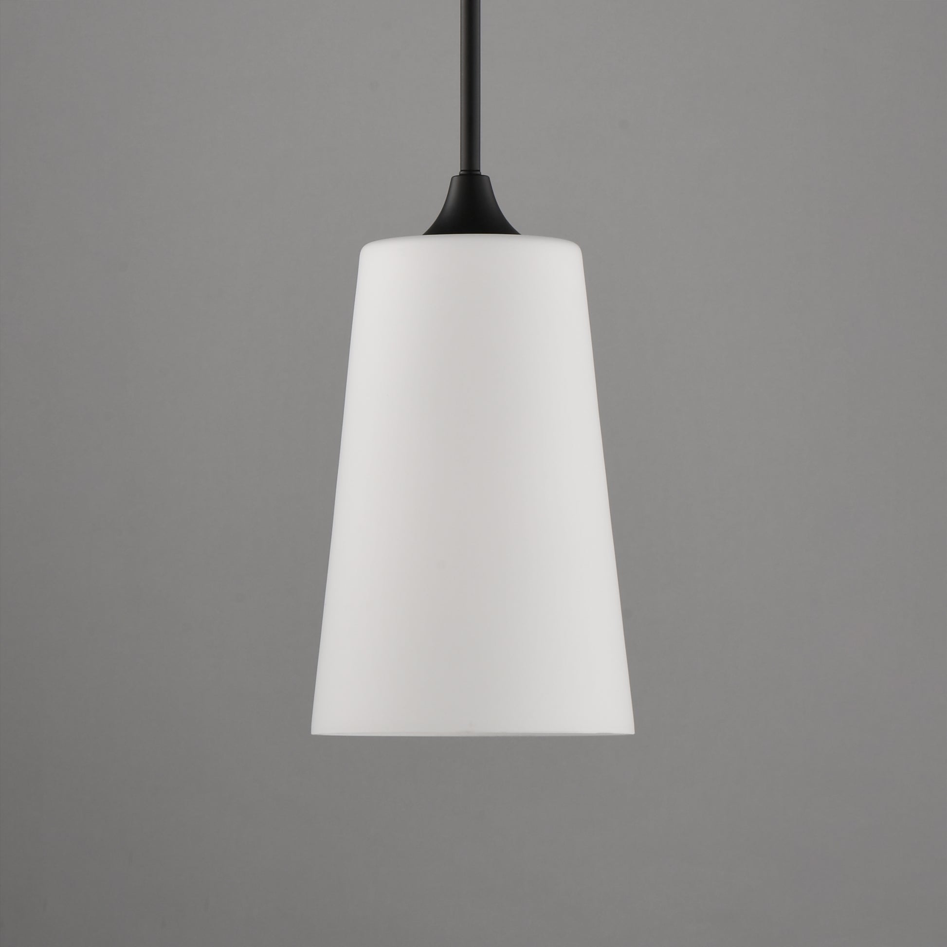 Hudson Pendant Black by Maxim Lighting