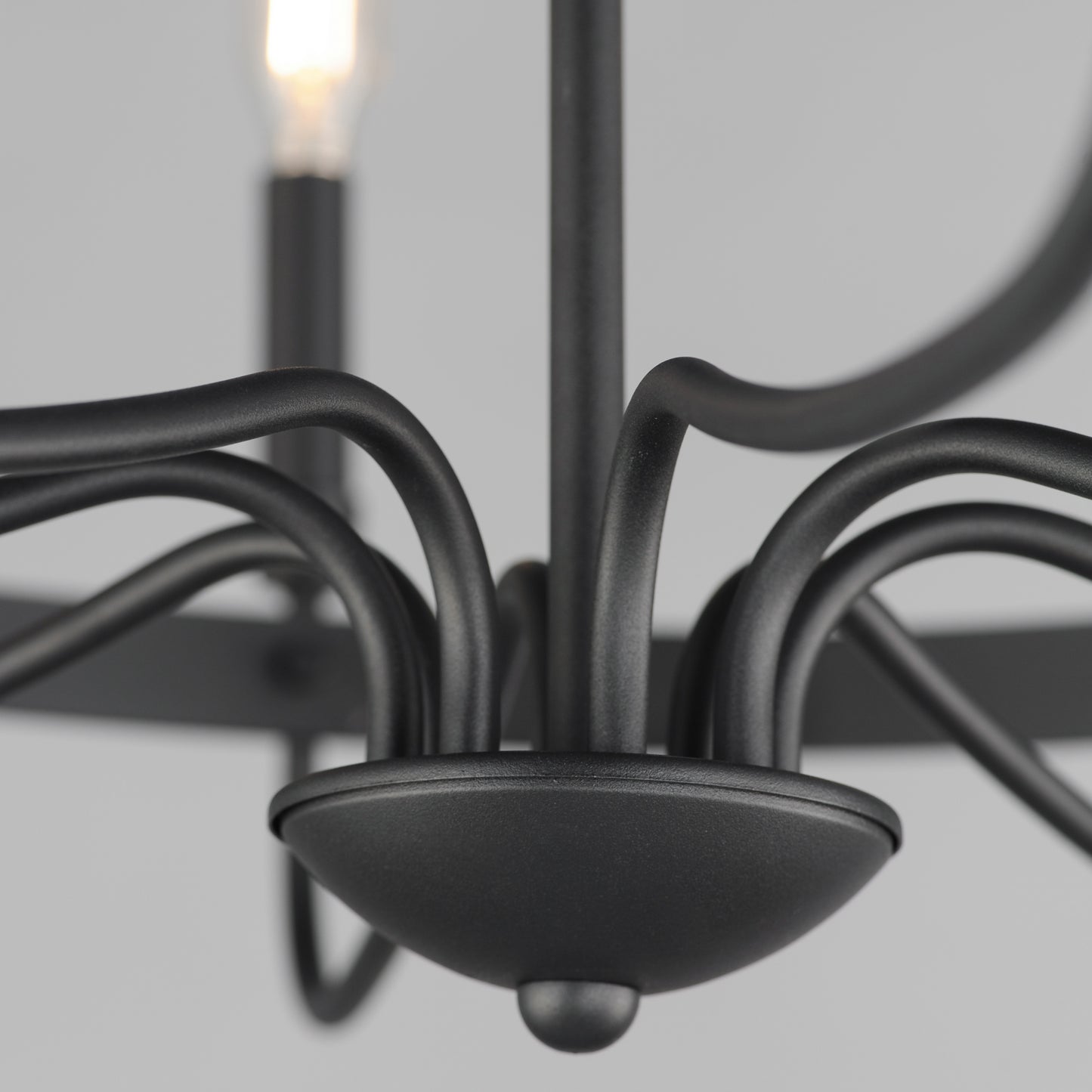 Frankie 8-Light Chandelier Black by Maxim Lighting