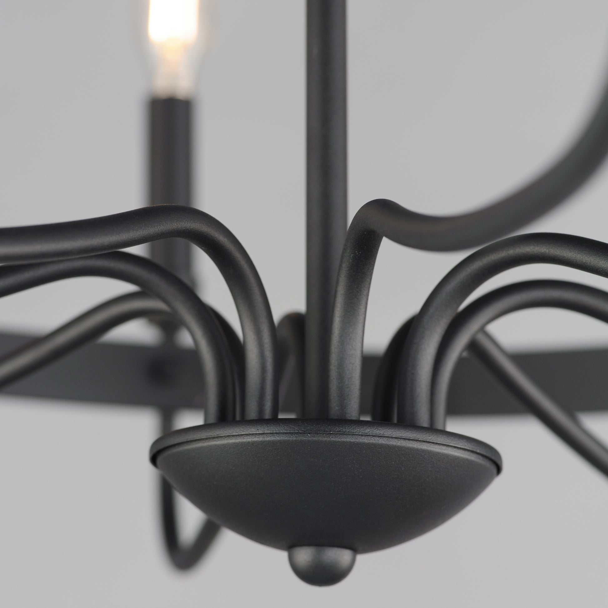 Frankie 8-Light Chandelier Black by Maxim Lighting
