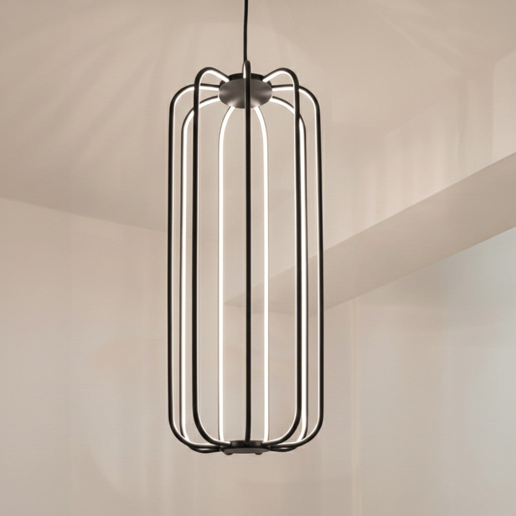 Egoluce Cavea in Black
