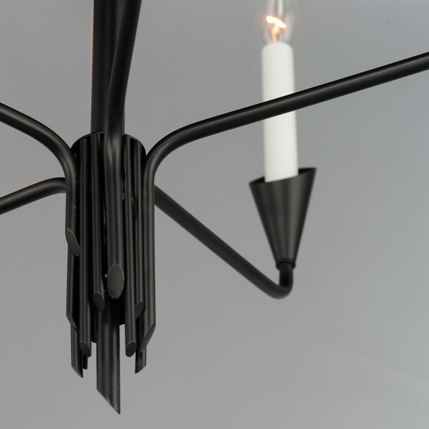 Calyx 5-Light Chandelier Black by Maxim Lighting