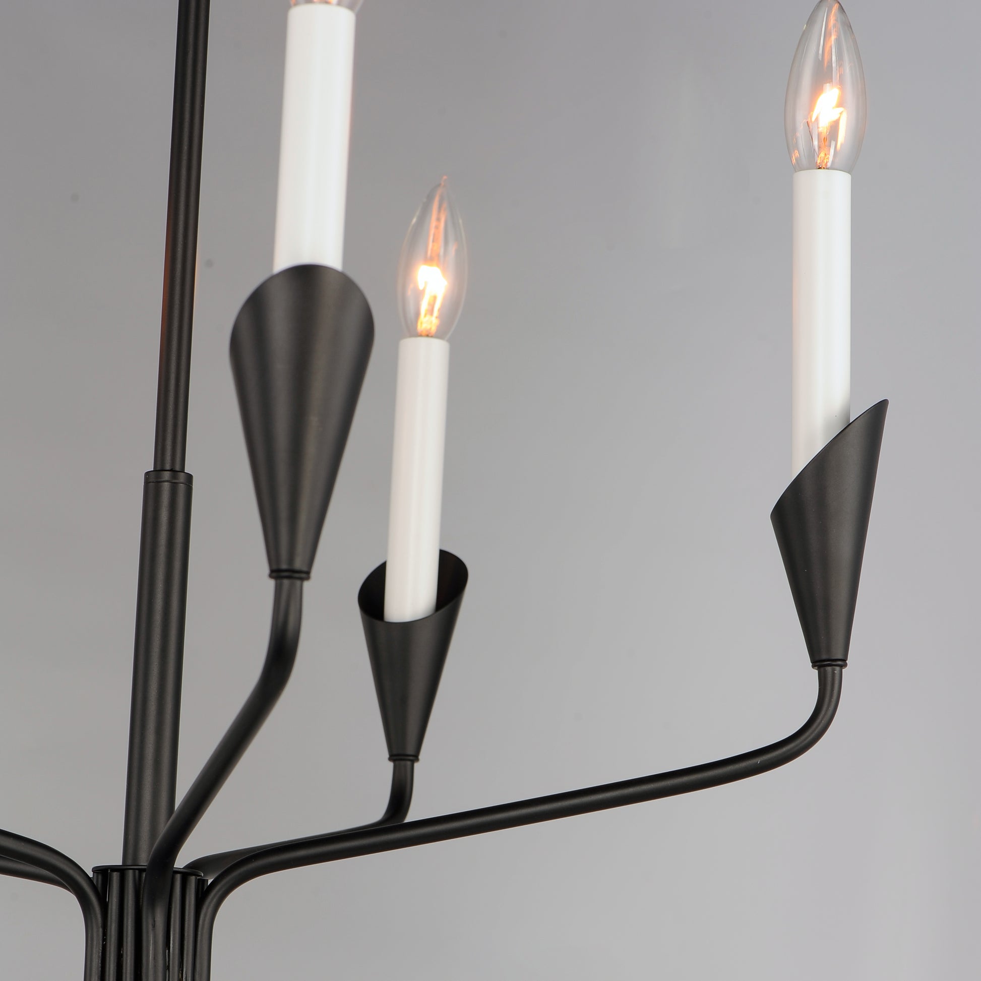 Calyx 5-Light Chandelier Black by Maxim Lighting