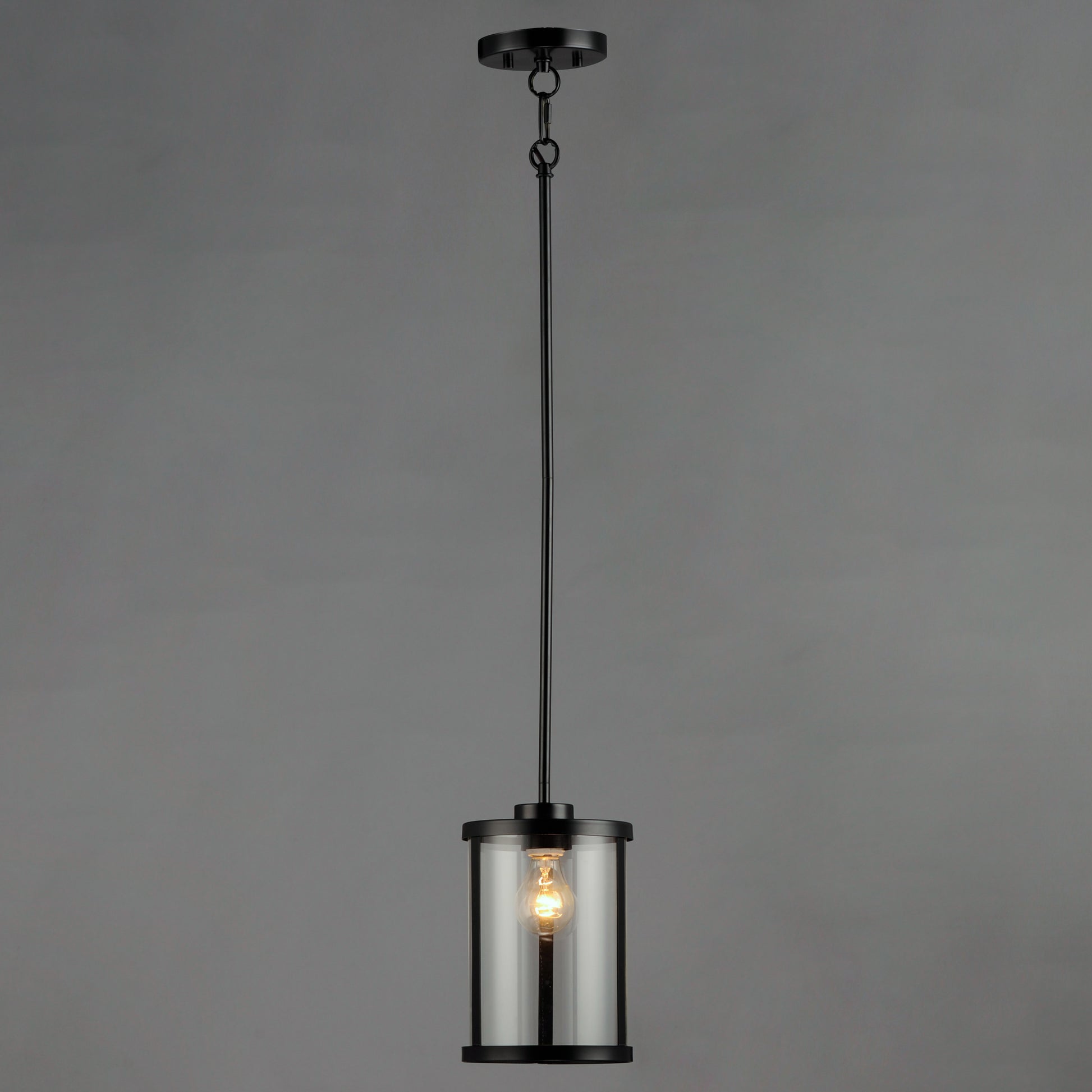 Sentinel Mini Pendant Black by Maxim Lighting