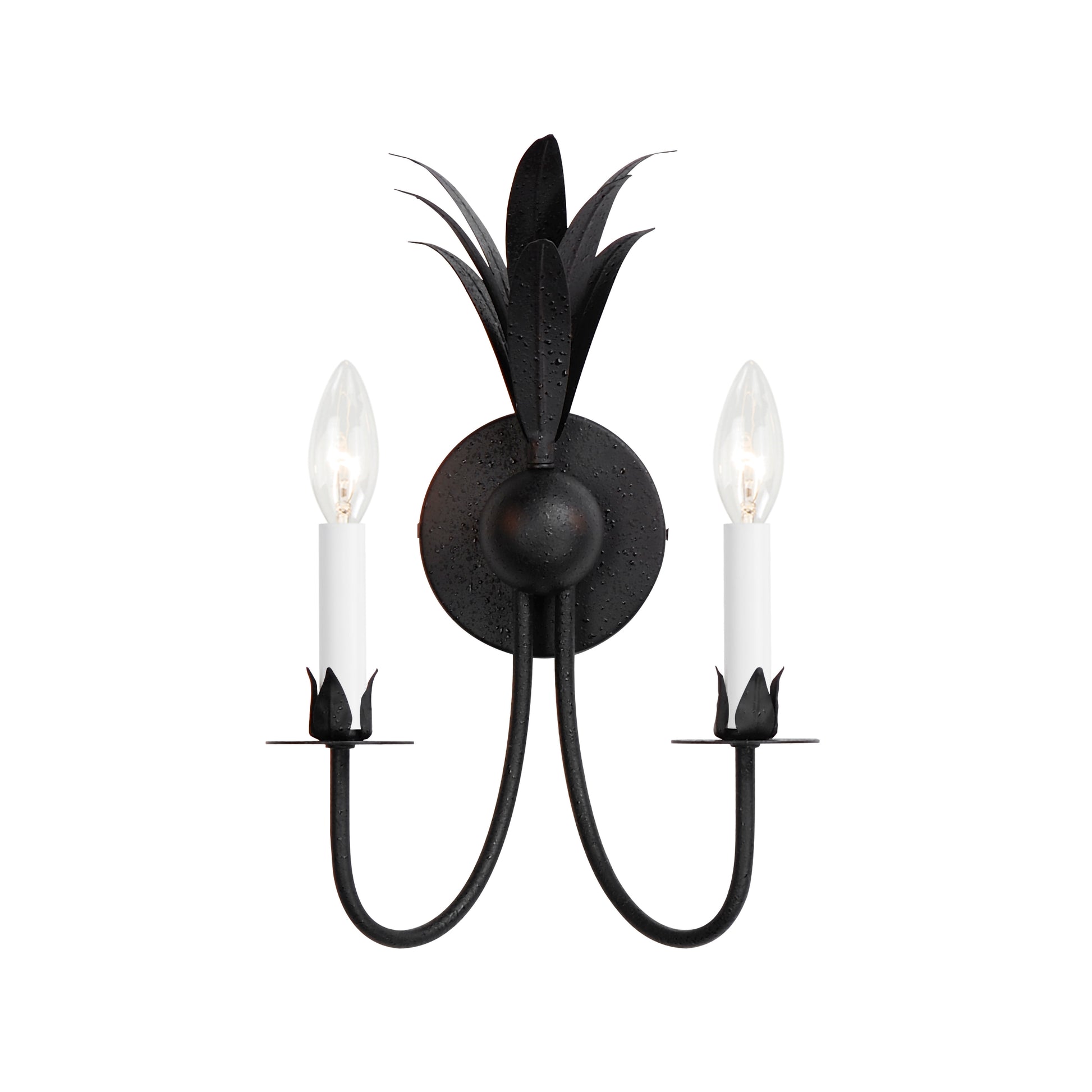 Paloma 2-Light Sconce Anthracite by Maxim Lighting
