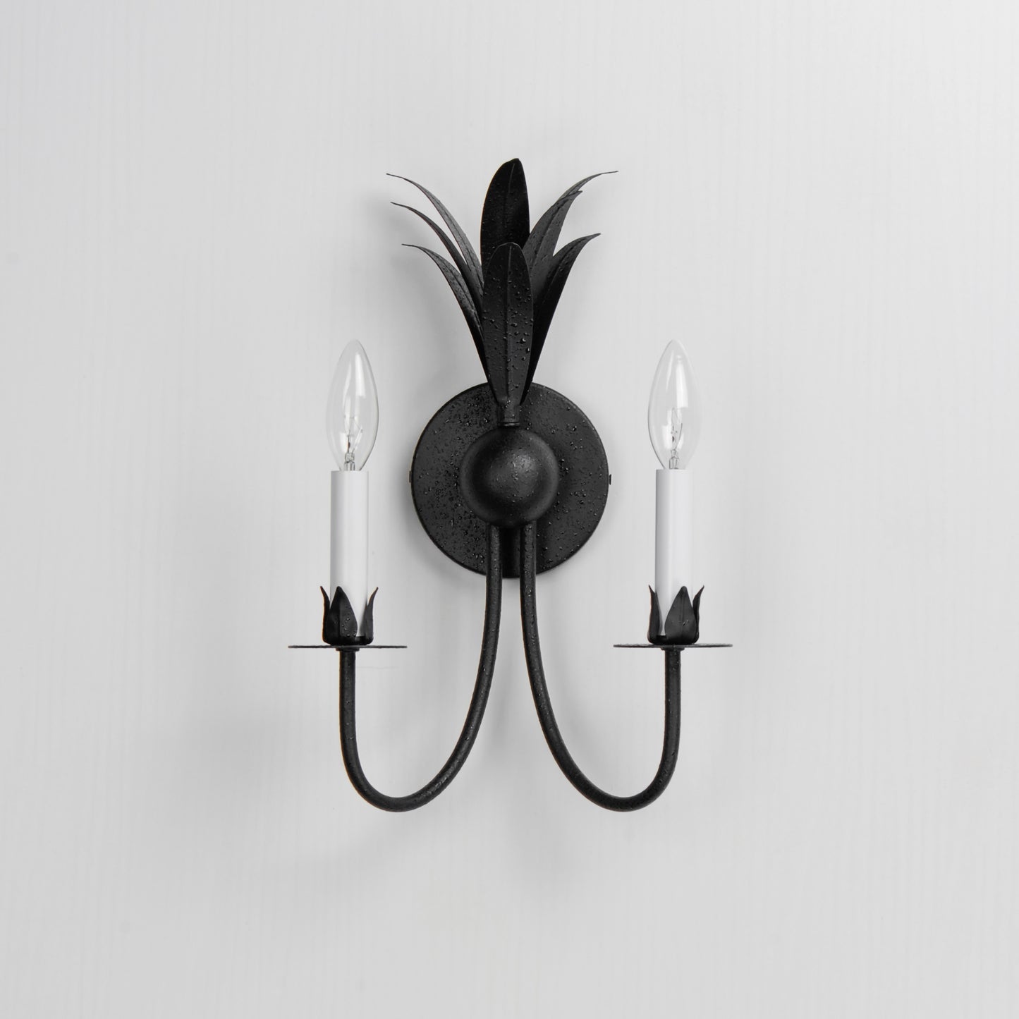 Paloma 2-Light Sconce Anthracite by Maxim Lighting