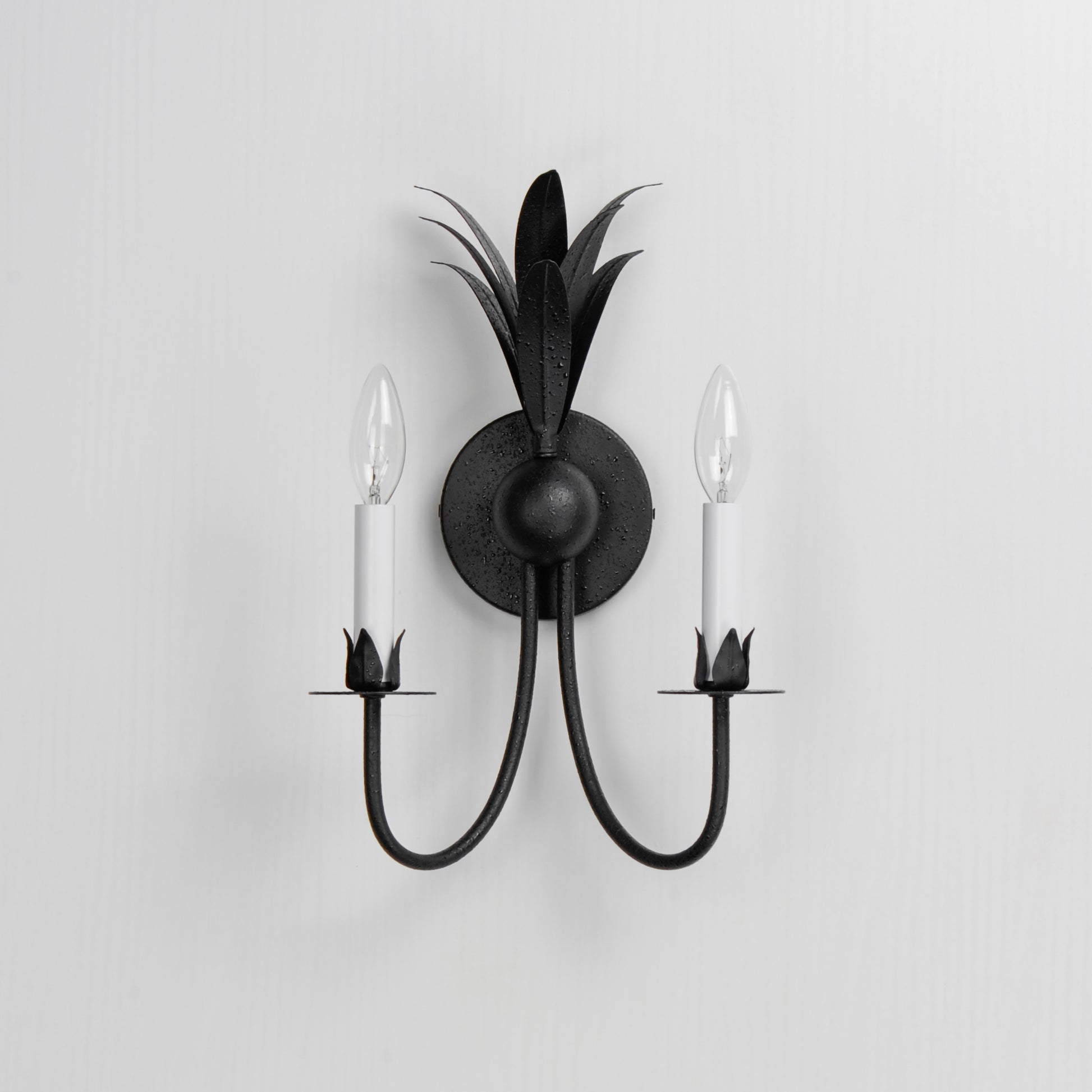 Paloma 2-Light Sconce Anthracite by Maxim Lighting