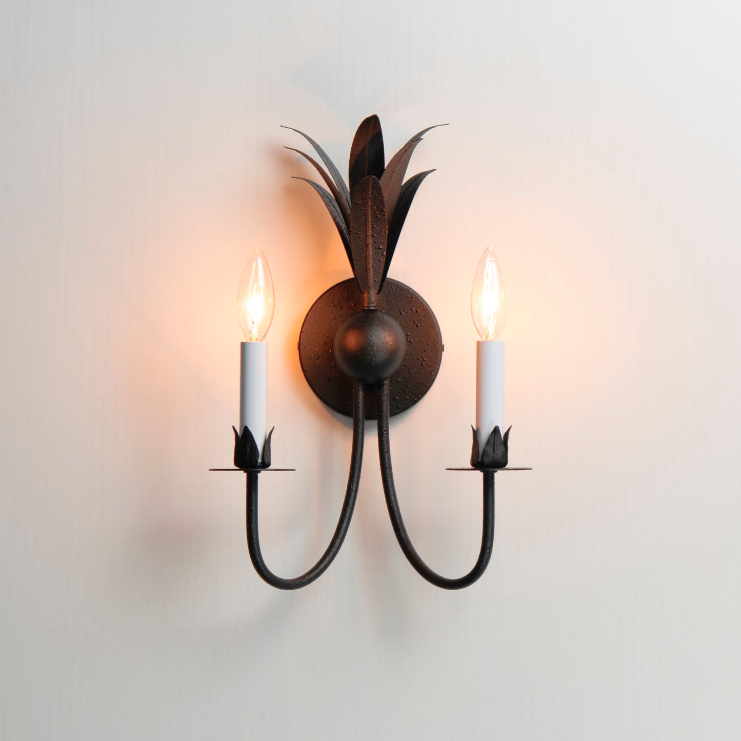 Paloma 2-Light Sconce Anthracite by Maxim Lighting