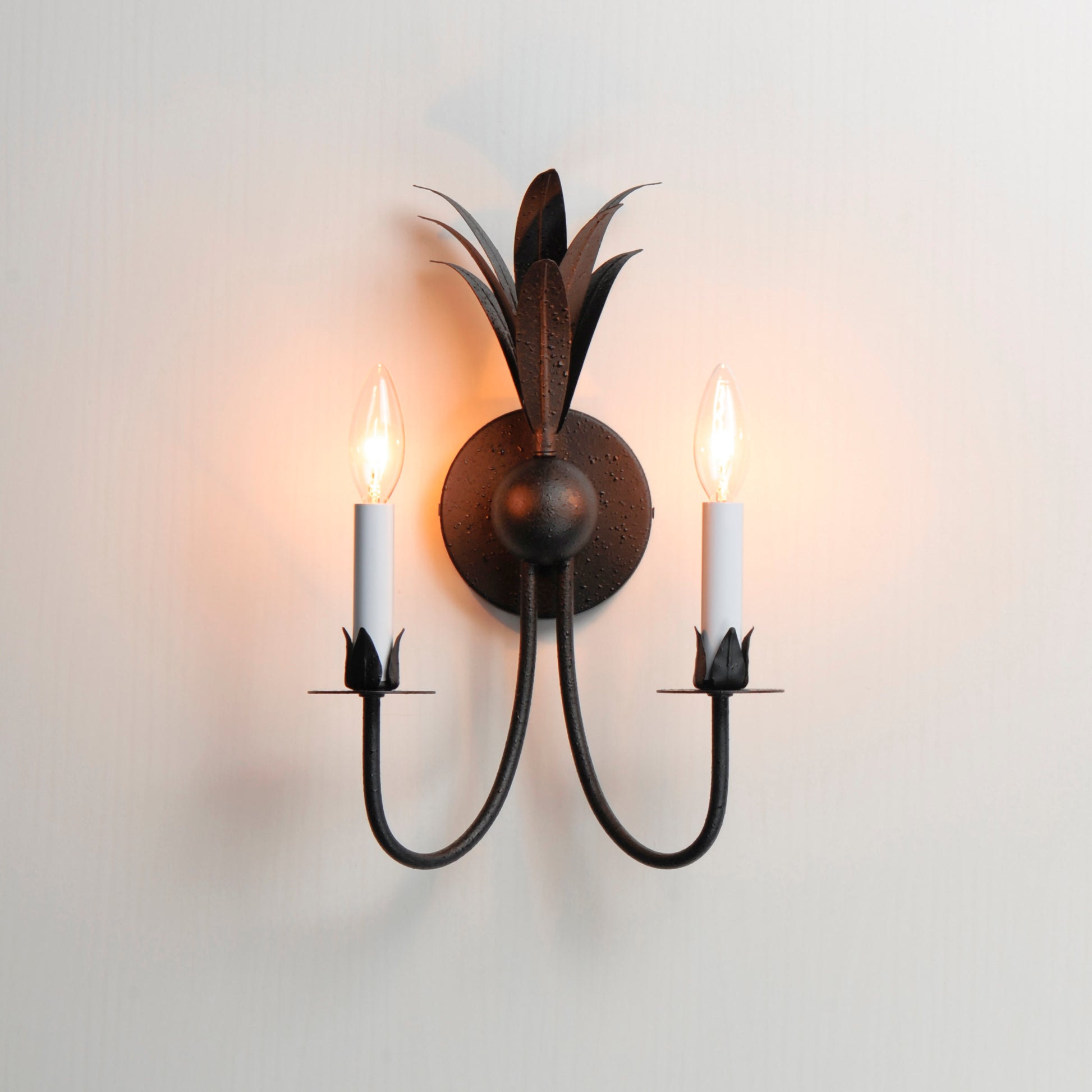 Paloma 2-Light Sconce Anthracite by Maxim Lighting