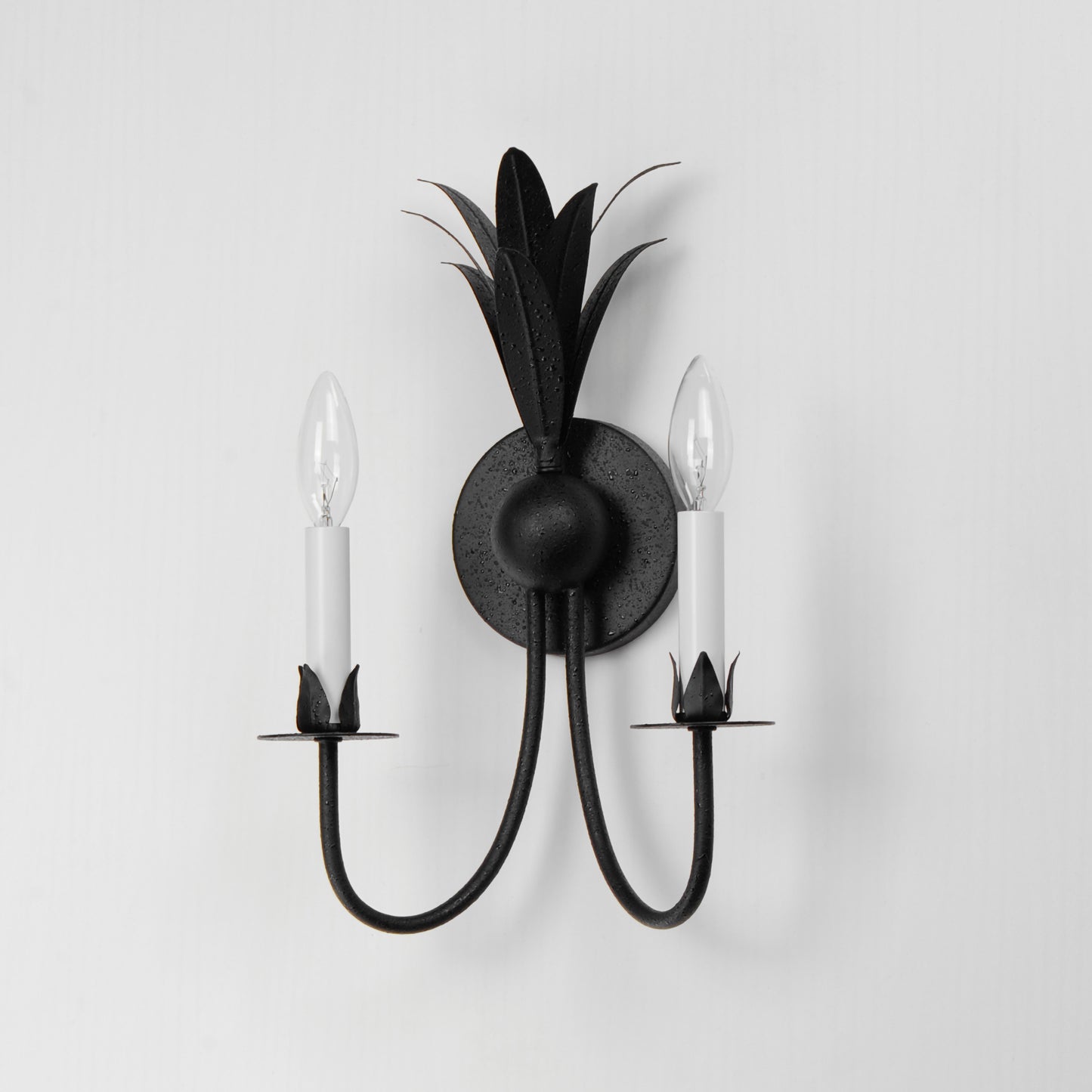 Paloma 2-Light Sconce Anthracite by Maxim Lighting