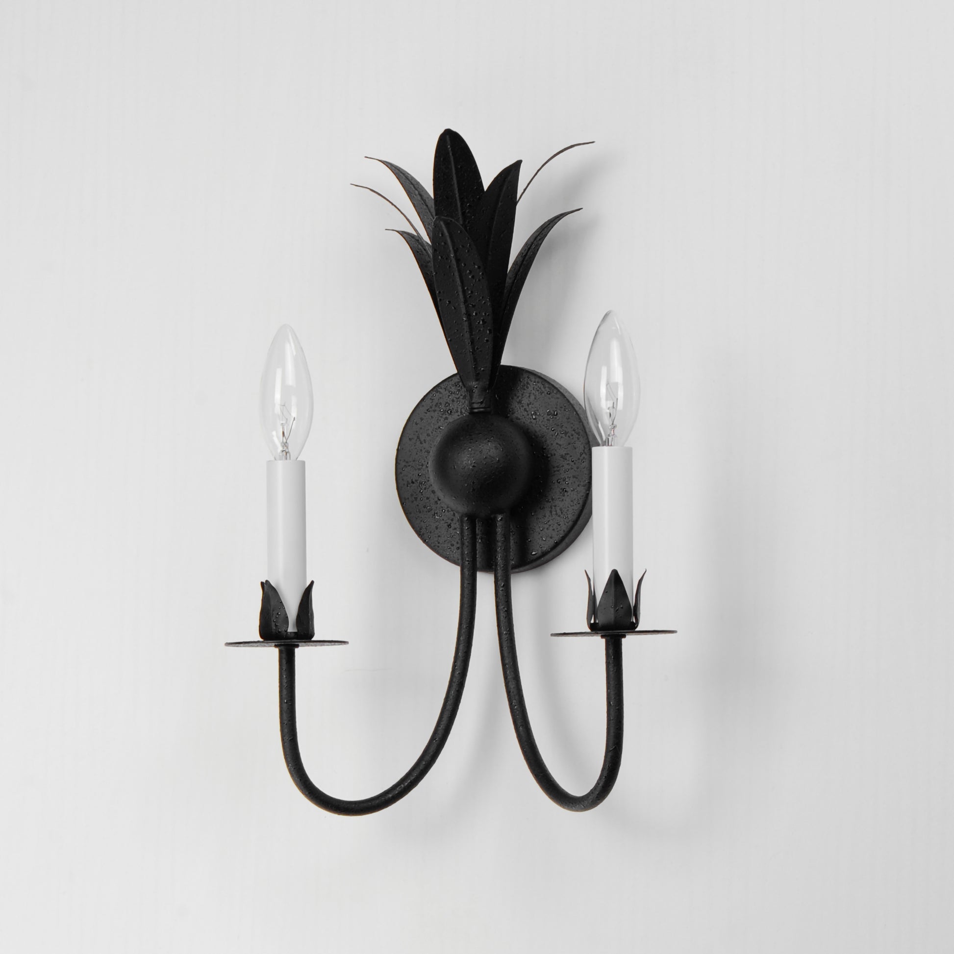 Paloma 2-Light Sconce Anthracite by Maxim Lighting
