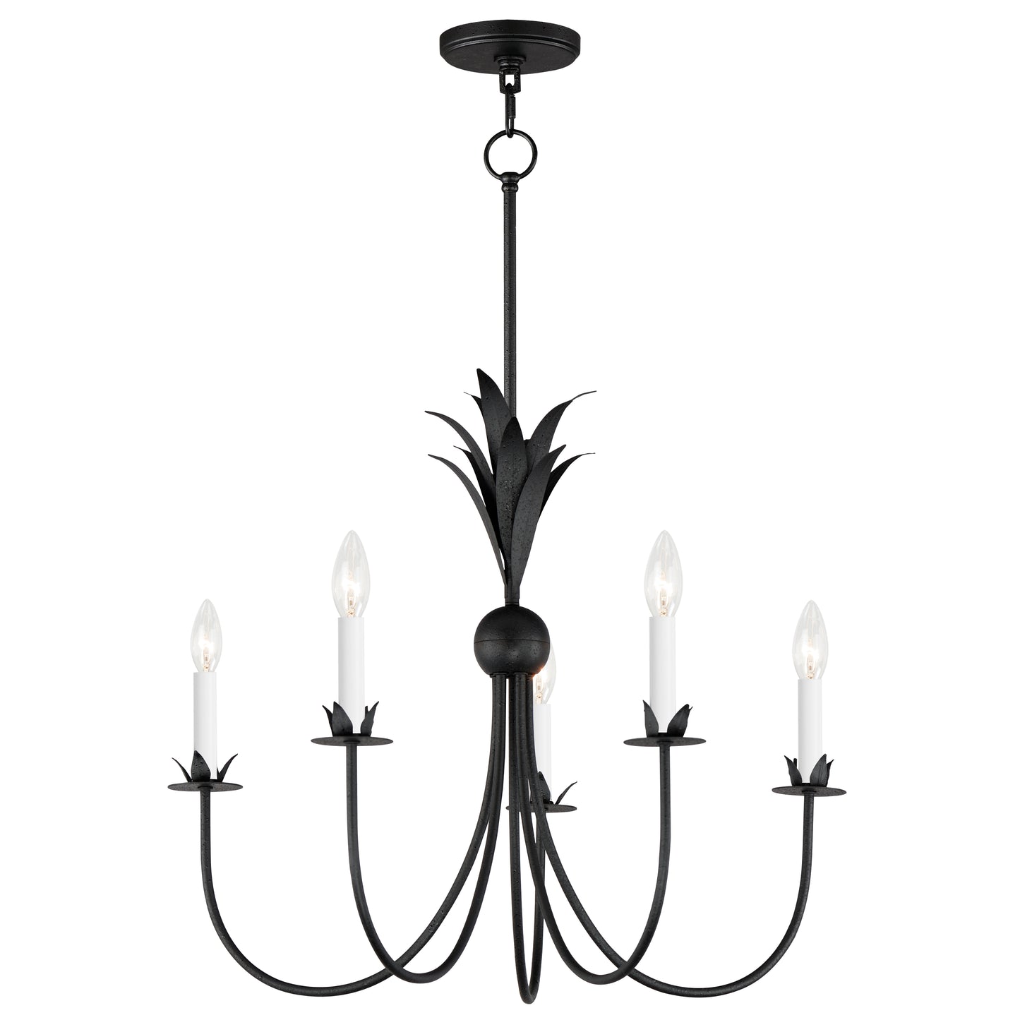 Paloma 5-Light Chandelier Anthracite by Maxim Lighting