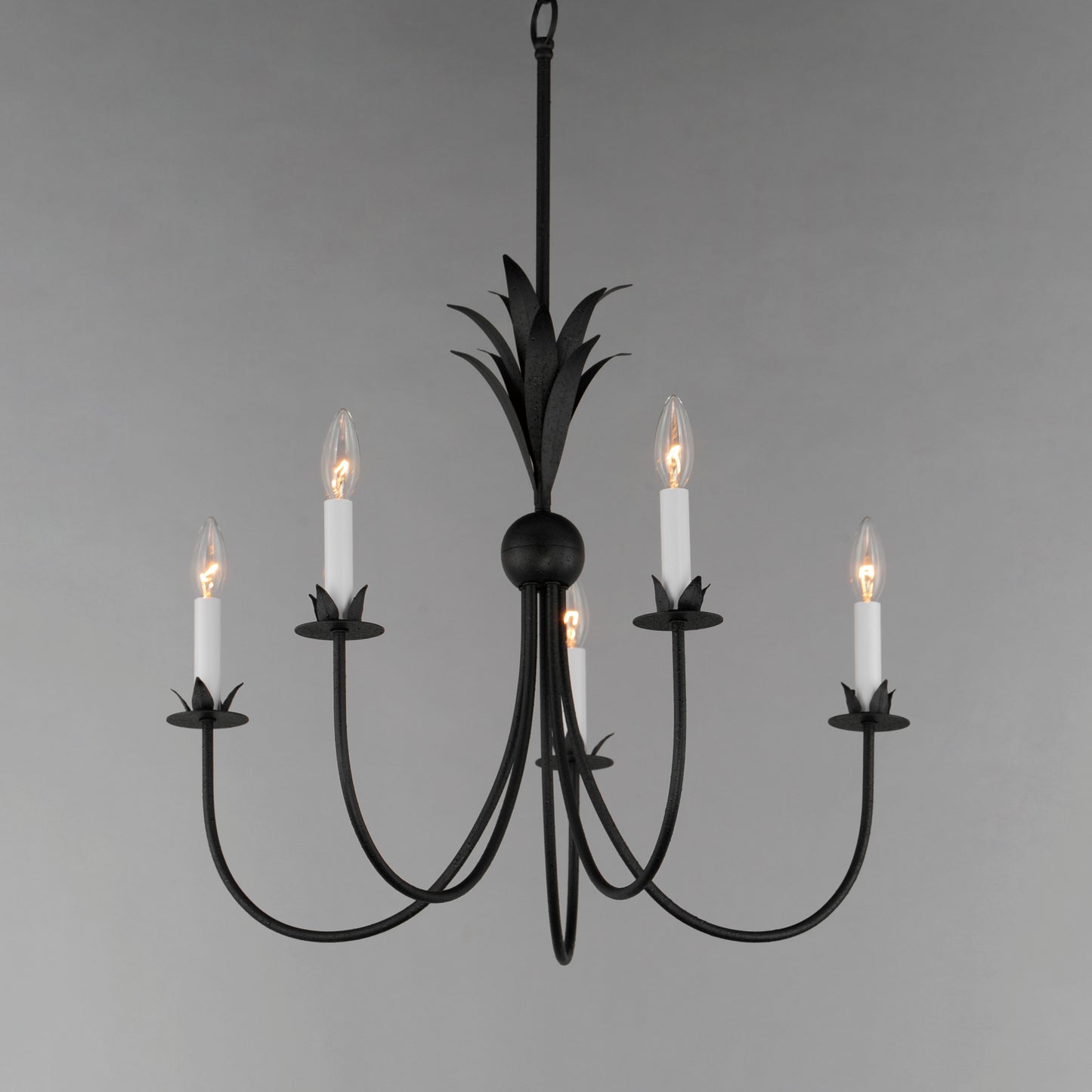 Paloma 5-Light Chandelier Anthracite by Maxim Lighting