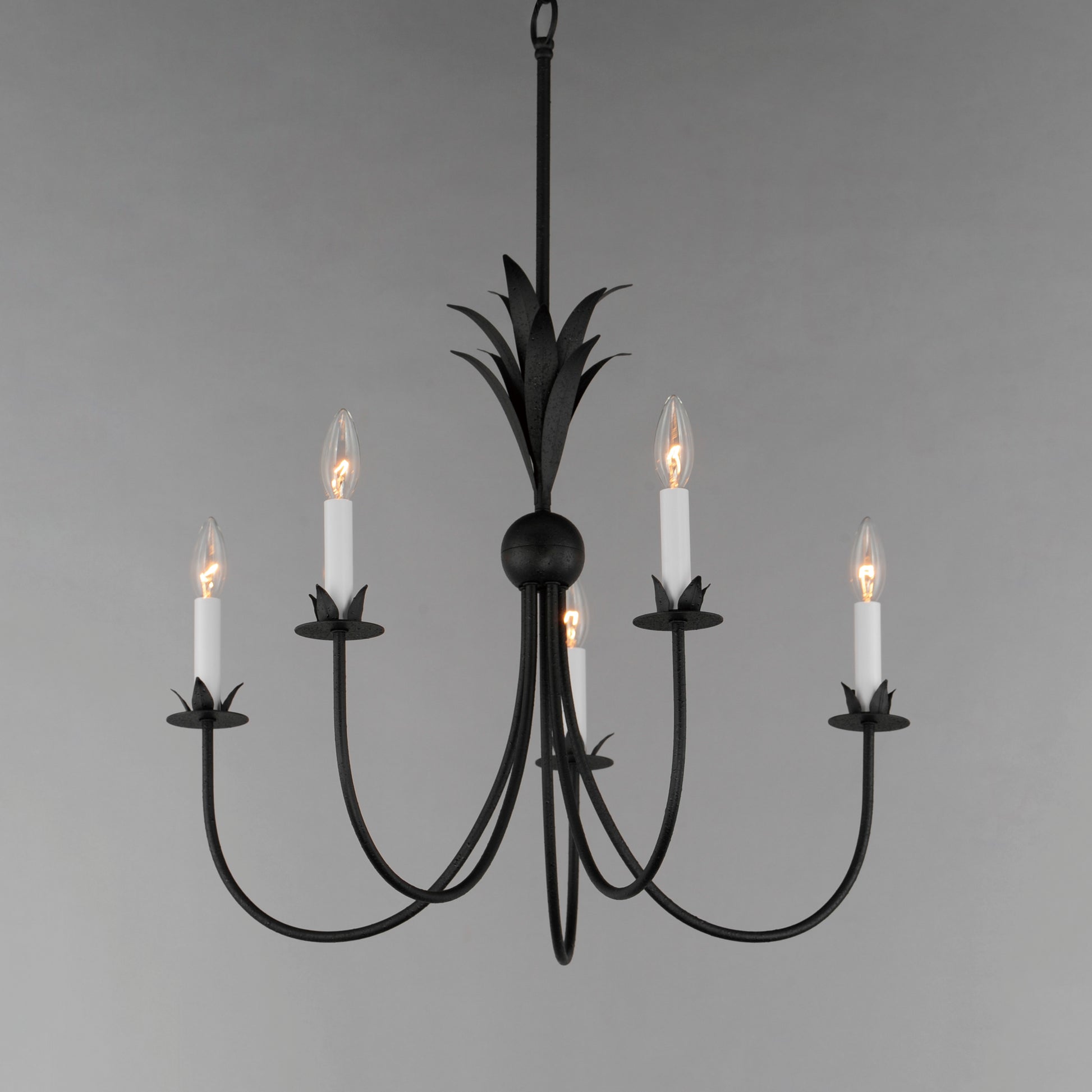 Paloma 5-Light Chandelier Anthracite by Maxim Lighting