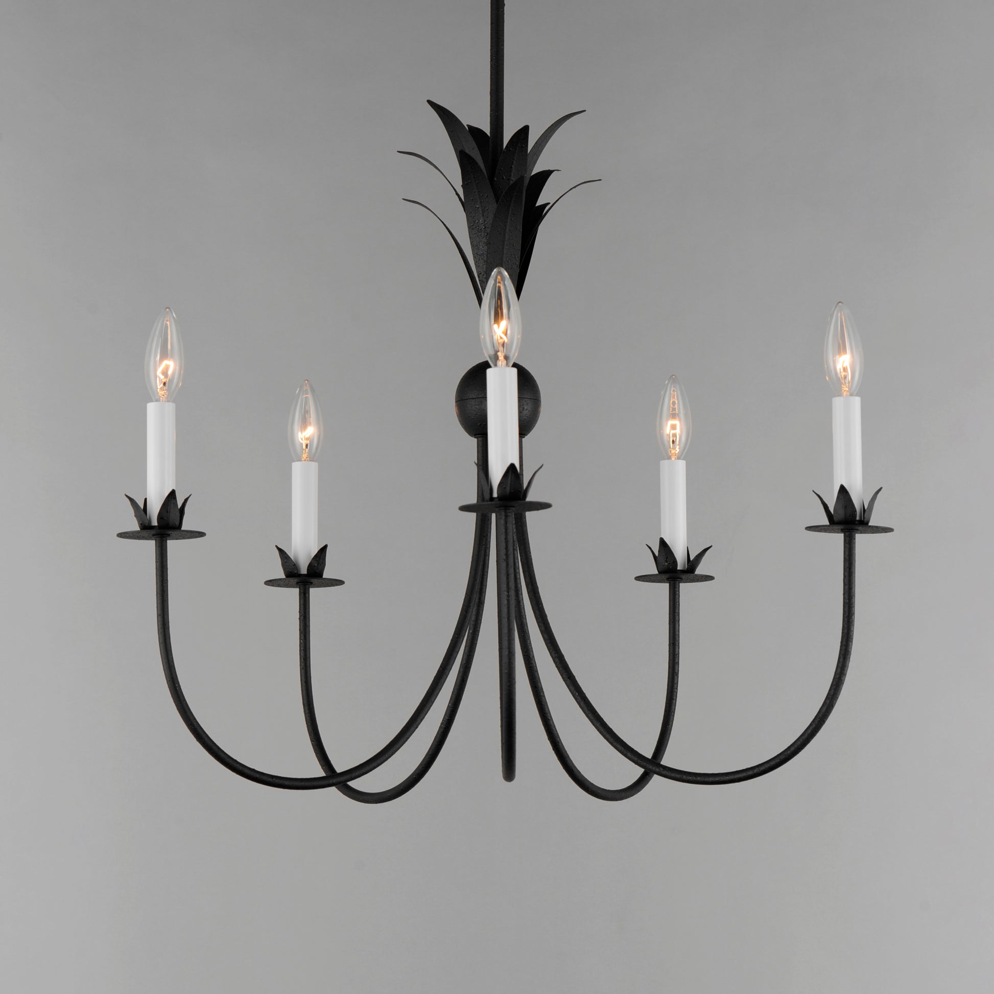 Paloma 5-Light Chandelier Anthracite by Maxim Lighting