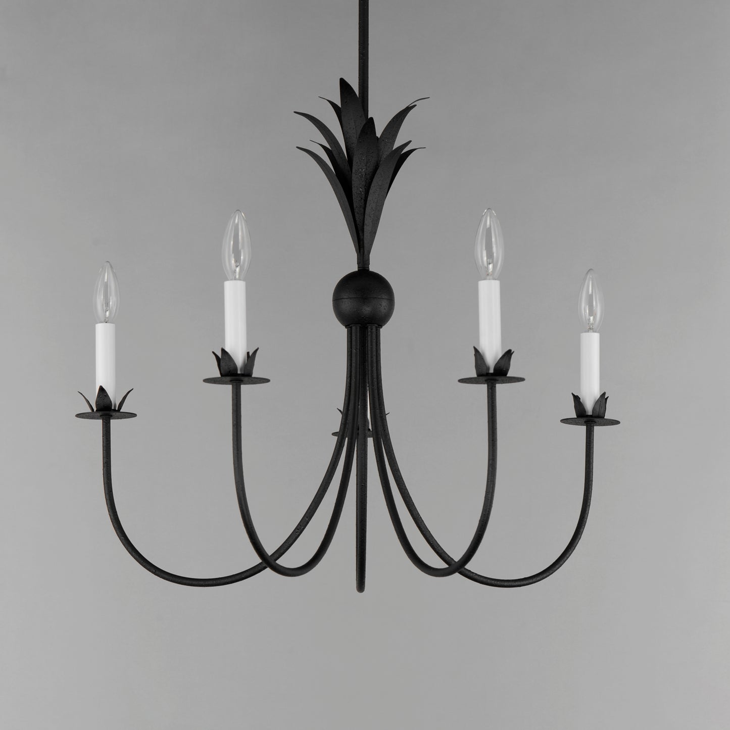Paloma 5-Light Chandelier Anthracite by Maxim Lighting