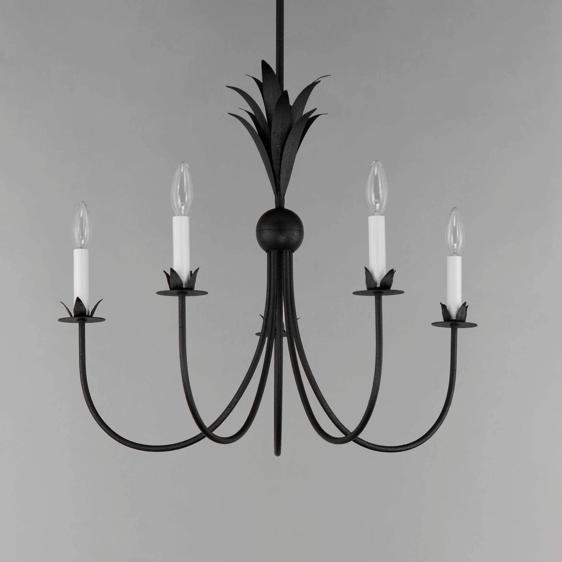 Paloma 5-Light Chandelier Anthracite by Maxim Lighting