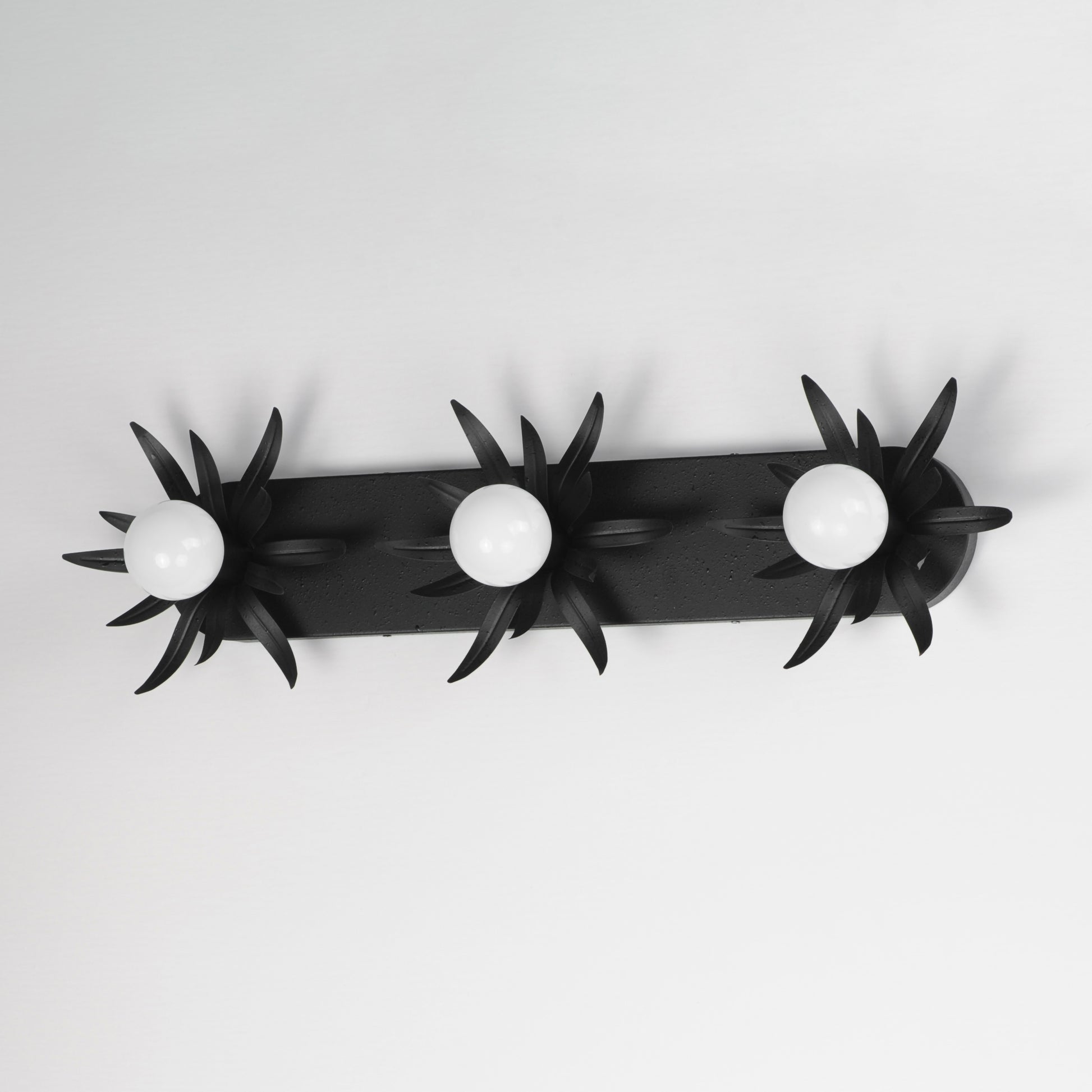 Paloma 3-Light Sconce Anthracite by Maxim Lighting