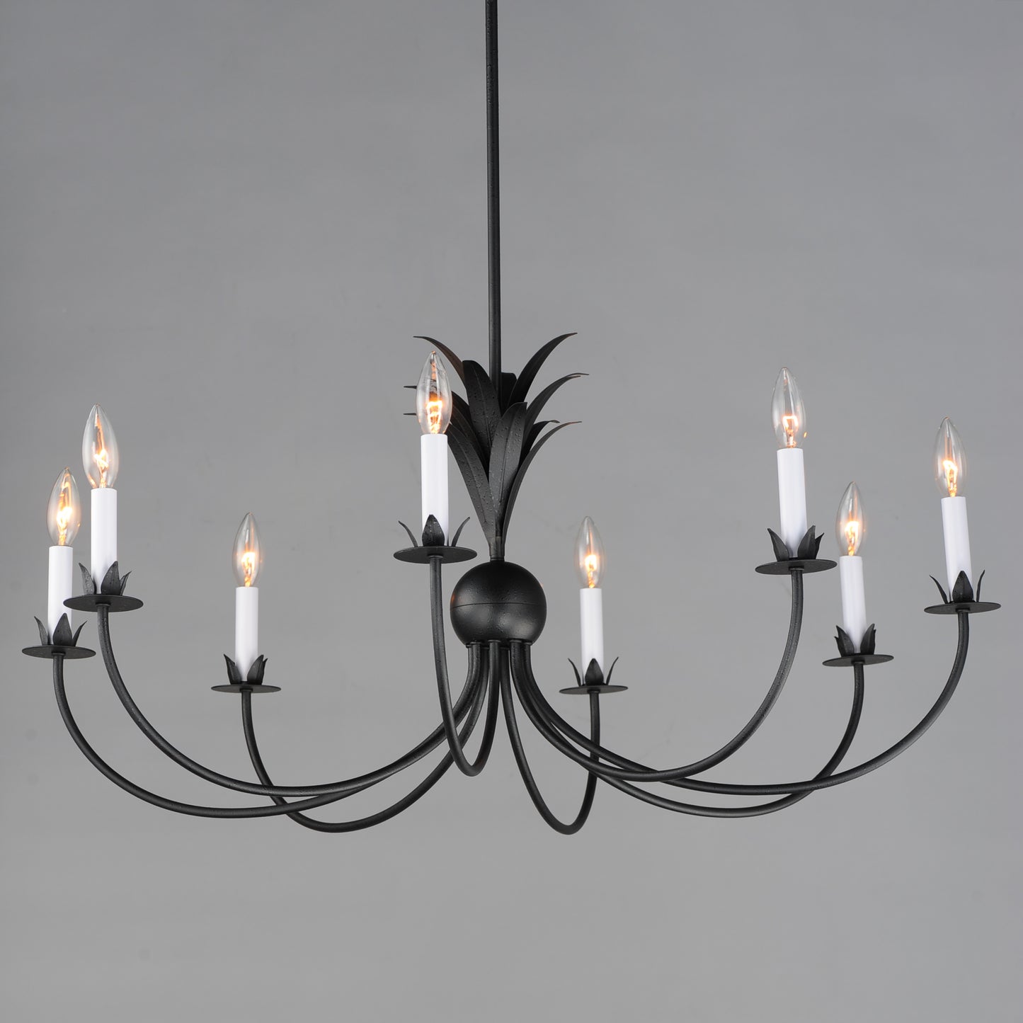 Paloma 8-Light Chandelier Anthracite by Maxim Lighting