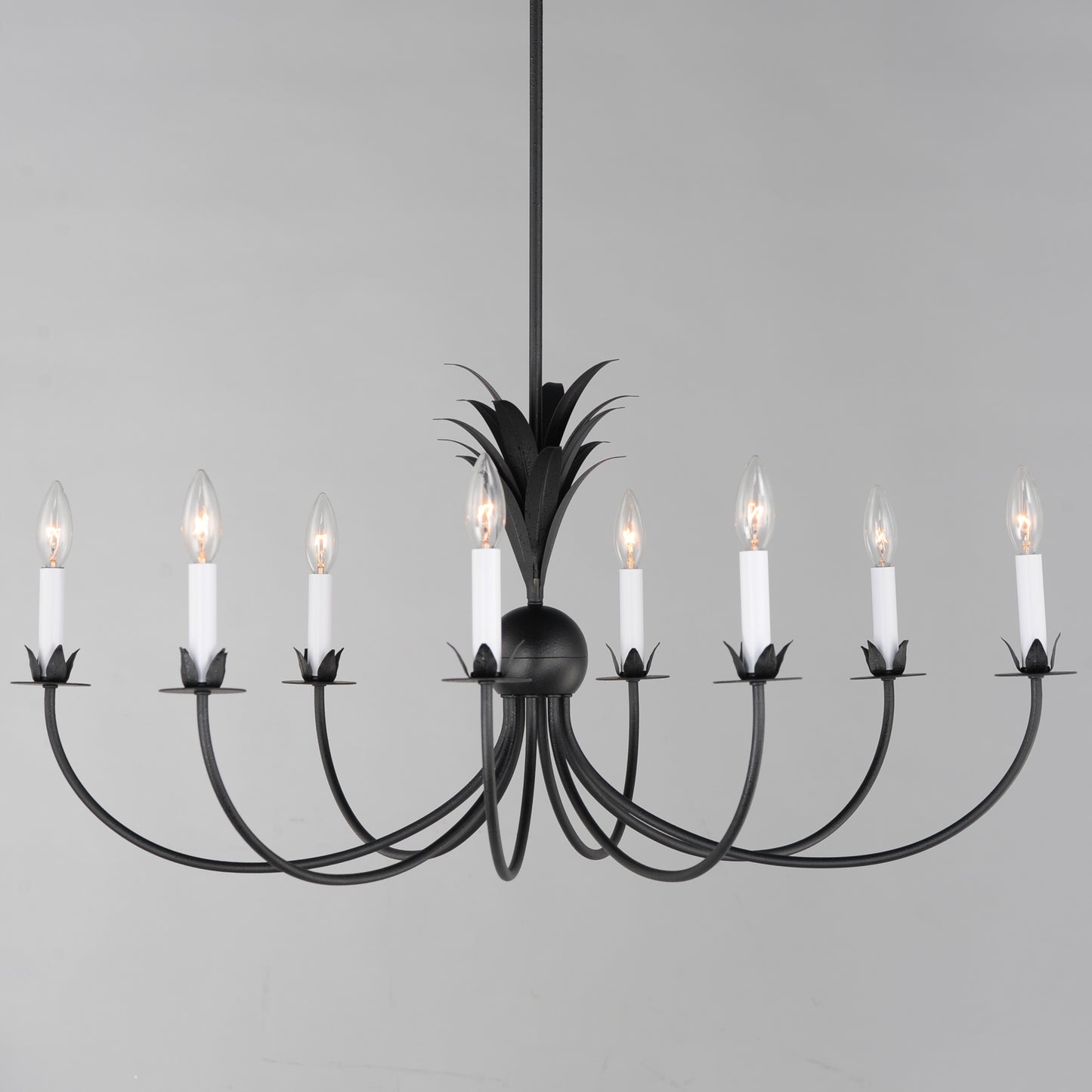 Paloma 8-Light Chandelier Anthracite by Maxim Lighting