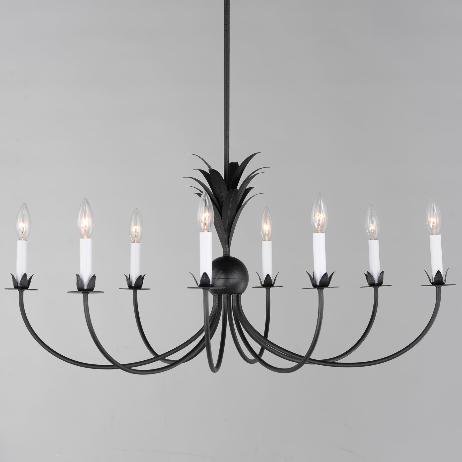 Paloma 8-Light Chandelier Anthracite by Maxim Lighting