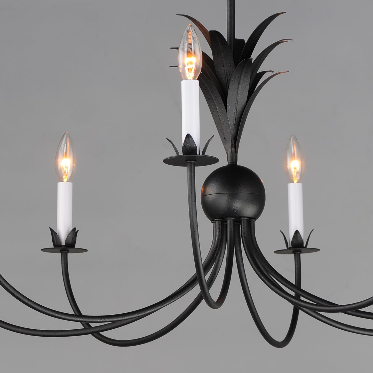 Paloma 8-Light Chandelier Anthracite by Maxim Lighting