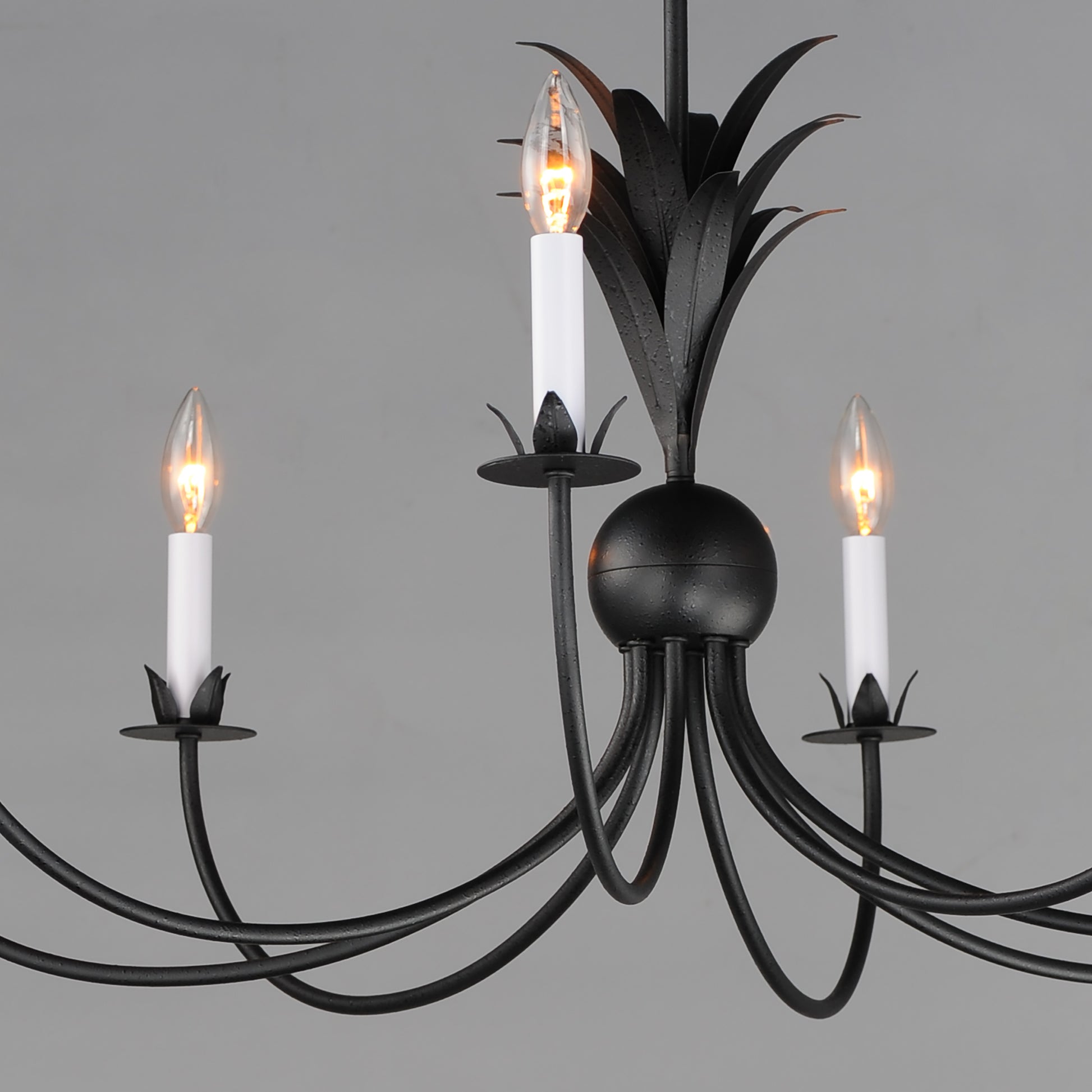 Paloma 8-Light Chandelier Anthracite by Maxim Lighting