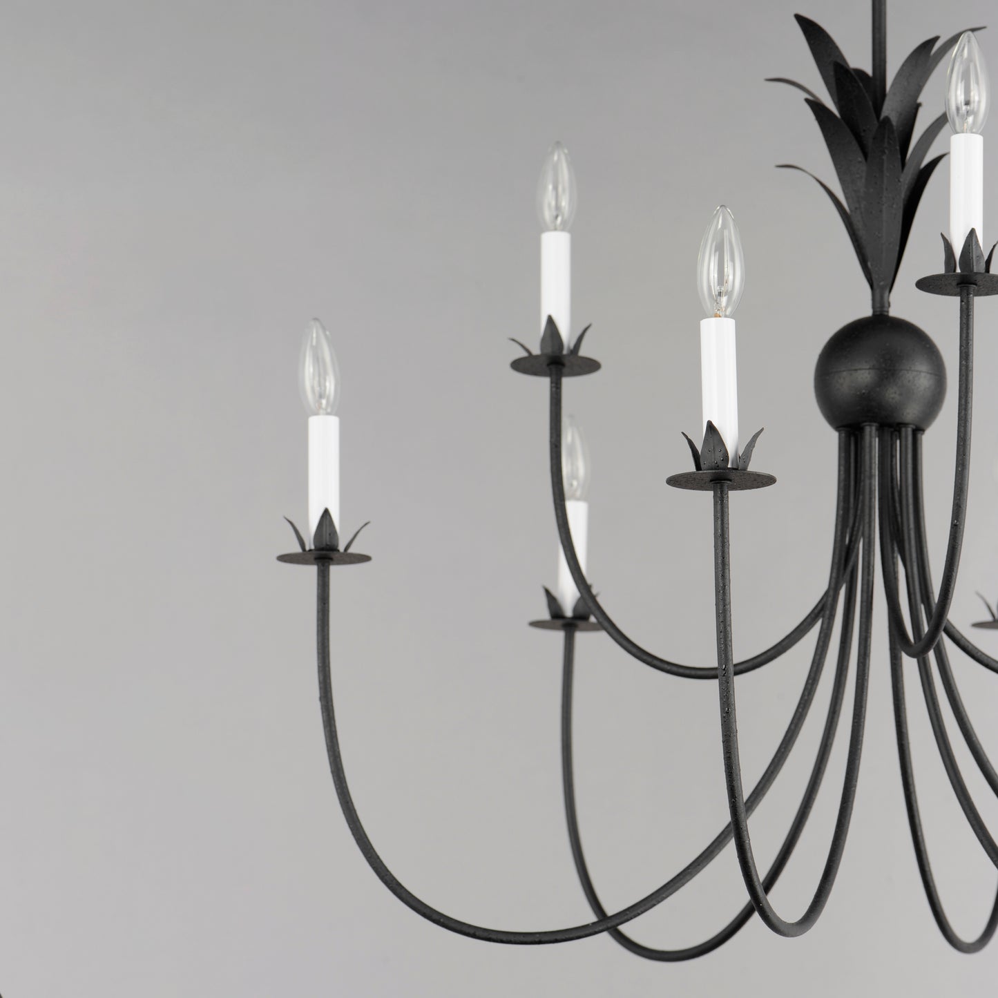 Paloma 9-Light Chandelier Anthracite by Maxim Lighting