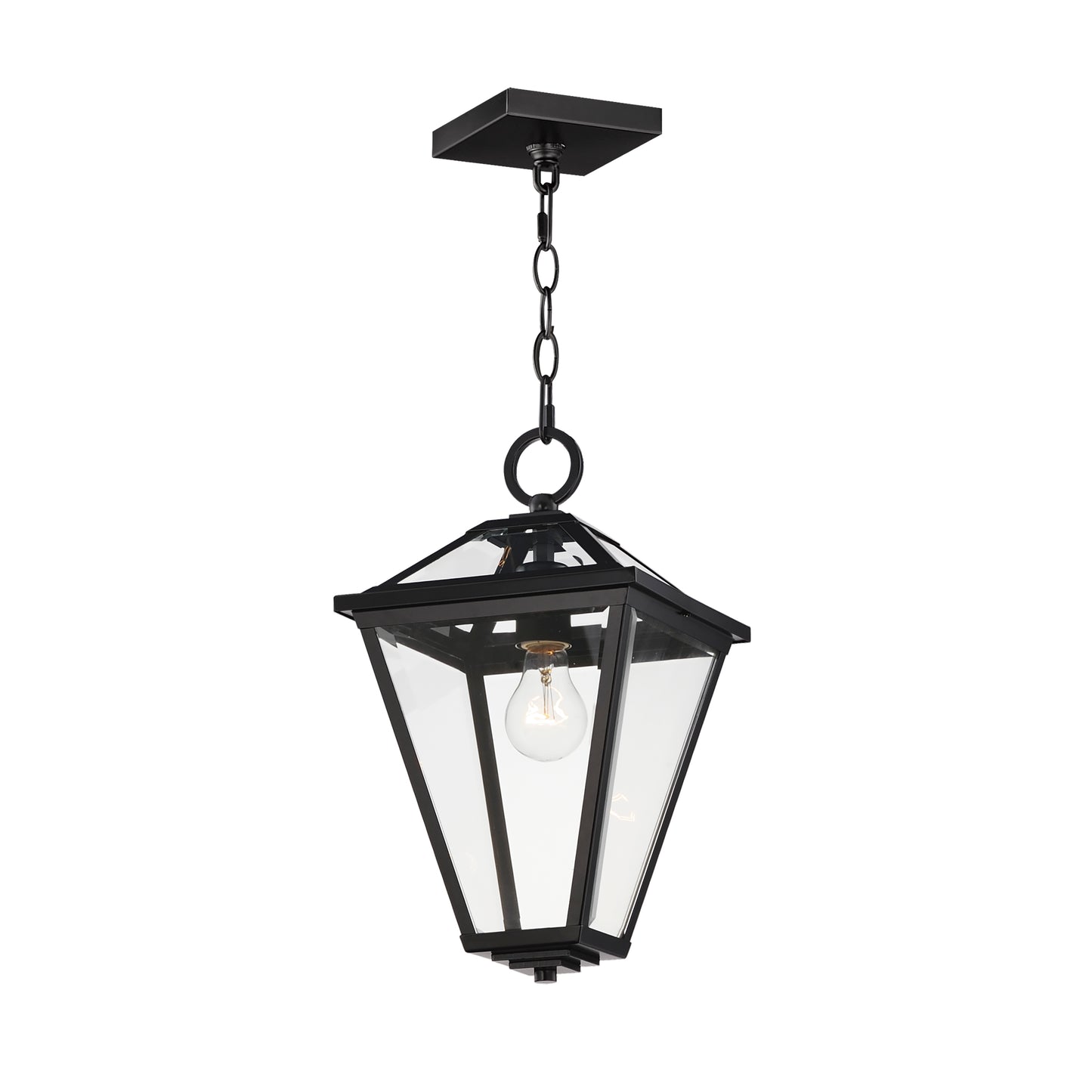 Prism 16" Outdoor Pendant Black by Maxim Lighting