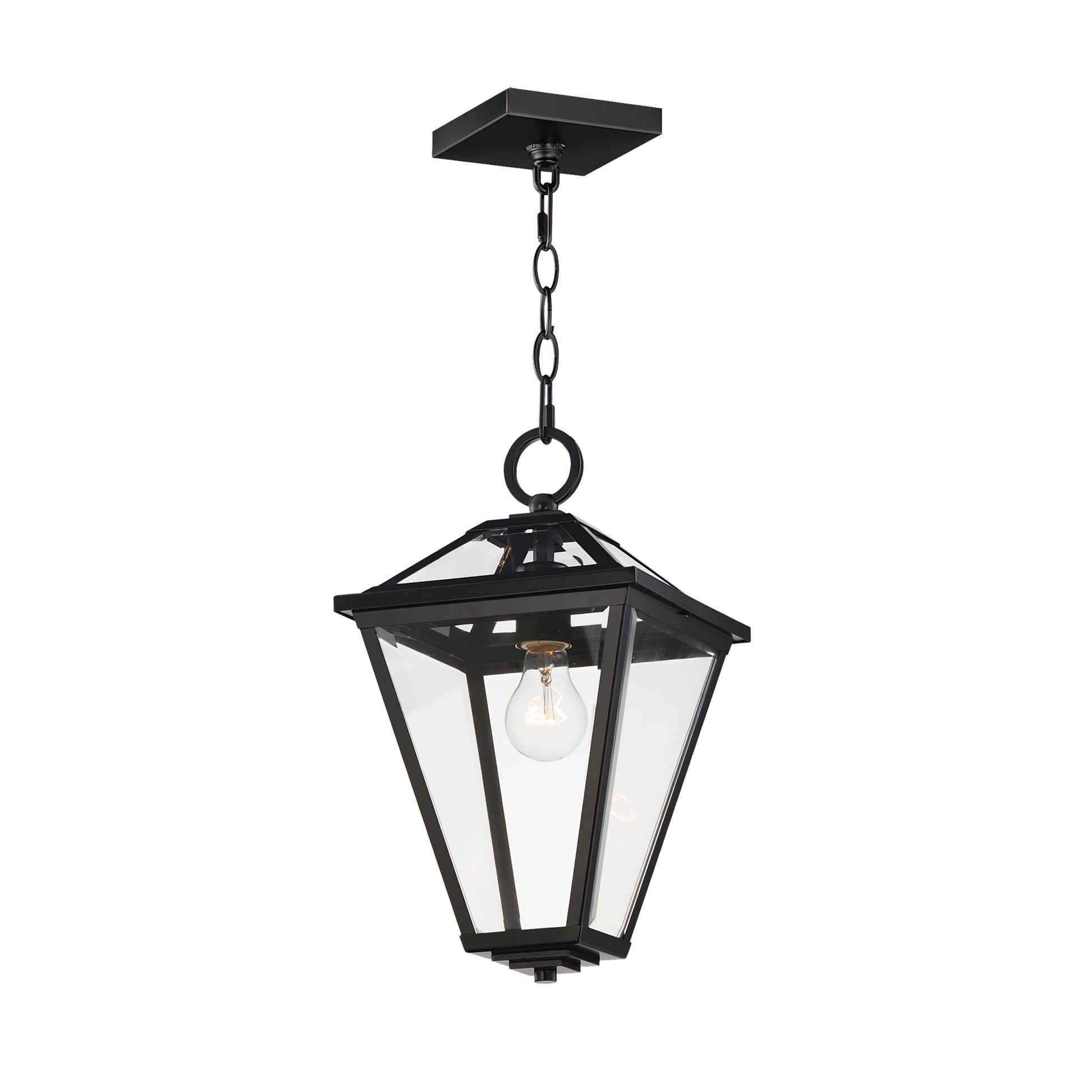 Prism 16" Outdoor Pendant Black by Maxim Lighting