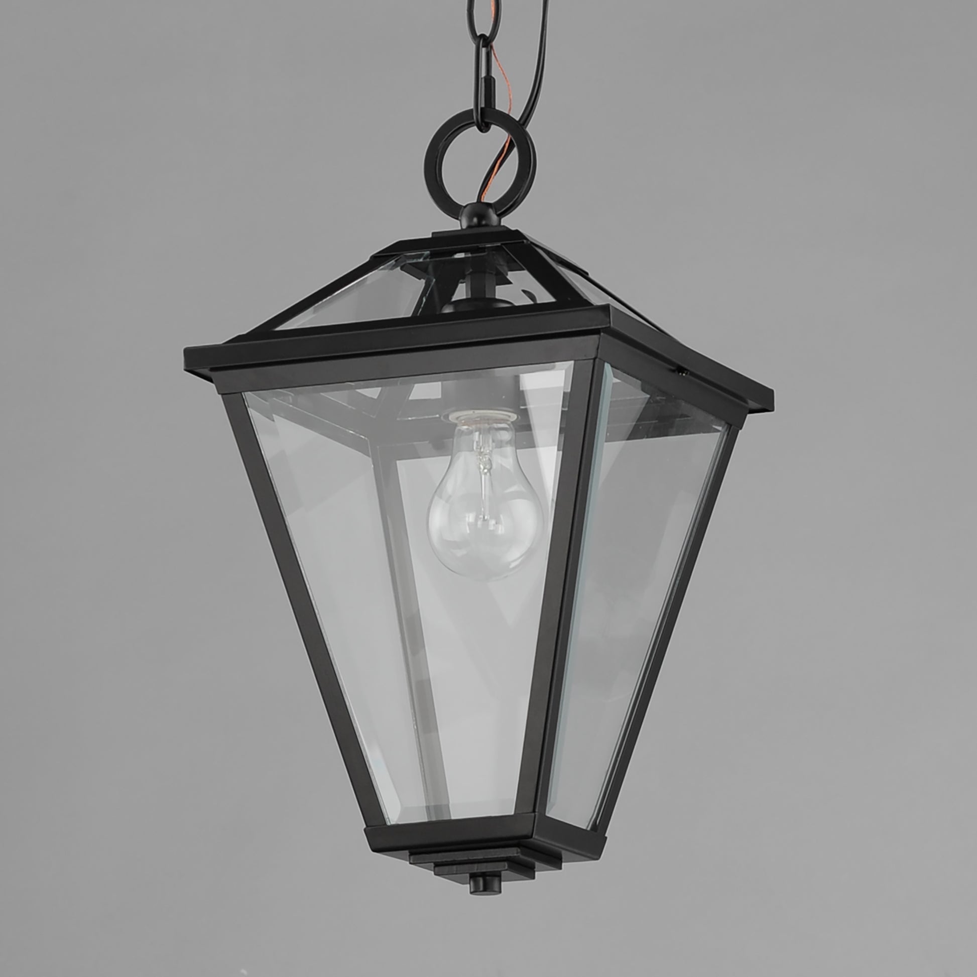 Prism 16" Outdoor Pendant Black by Maxim Lighting