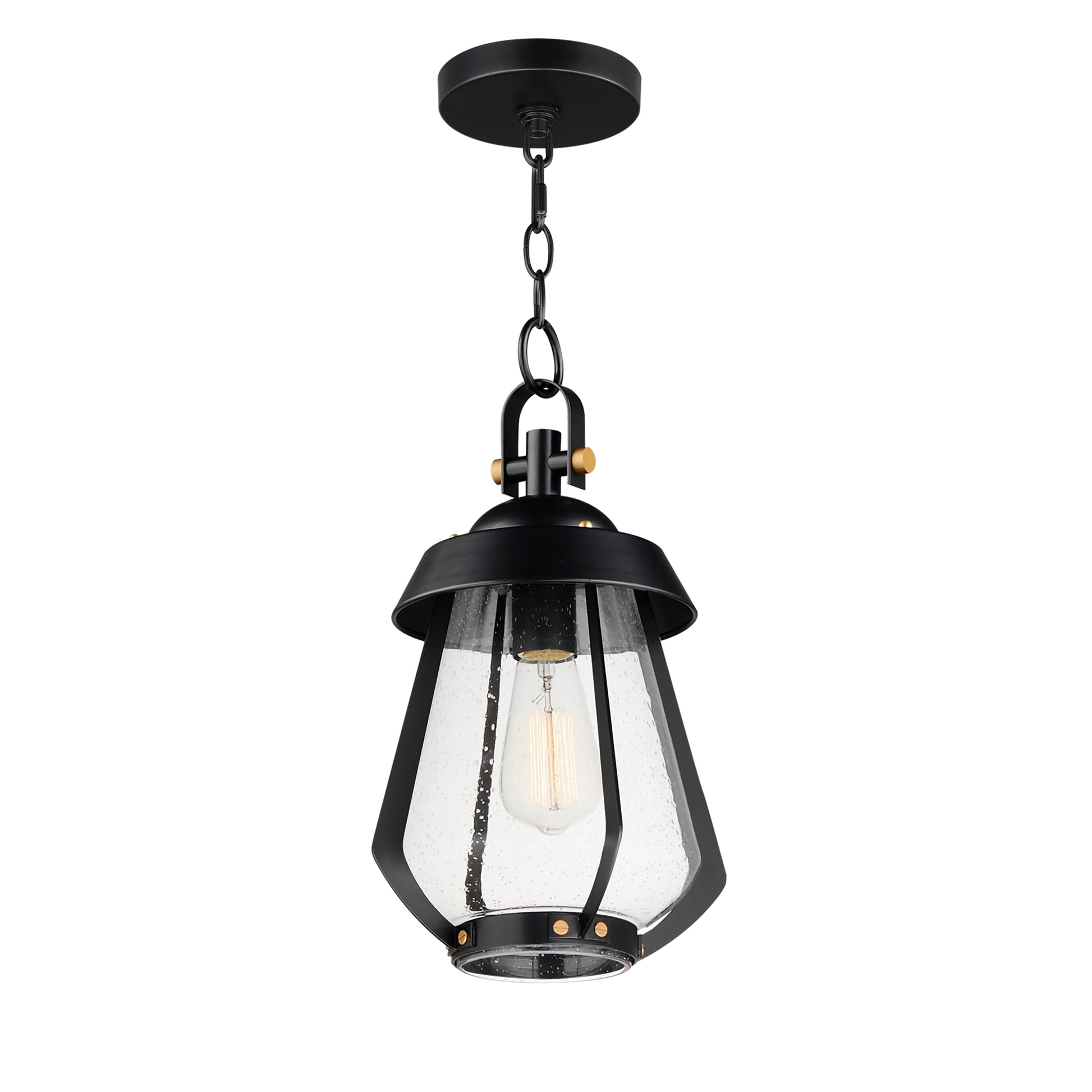 Mariner Medium Outdoor Pendant Black/Antique Brass by Maxim Lighting
