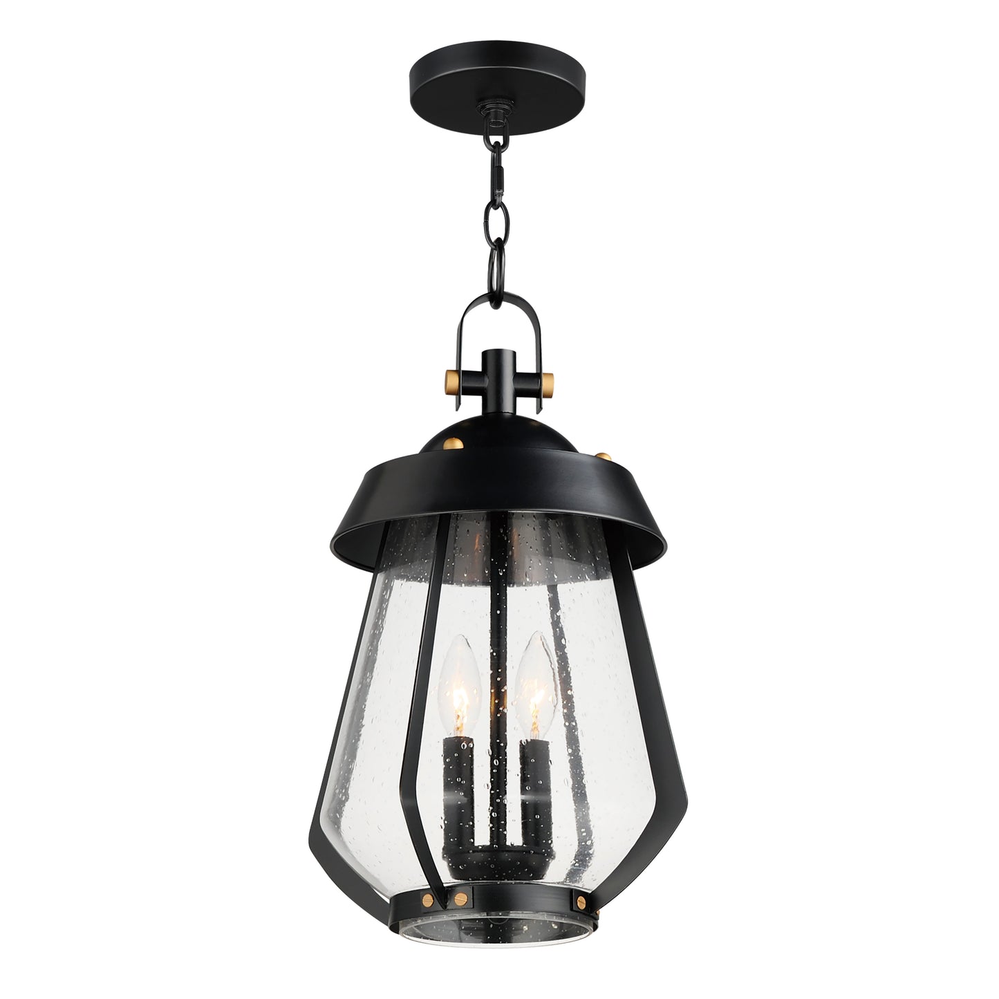 Mariner Large 2-Light Outdoor Pendant Black/Antique Brass by Maxim Lighting