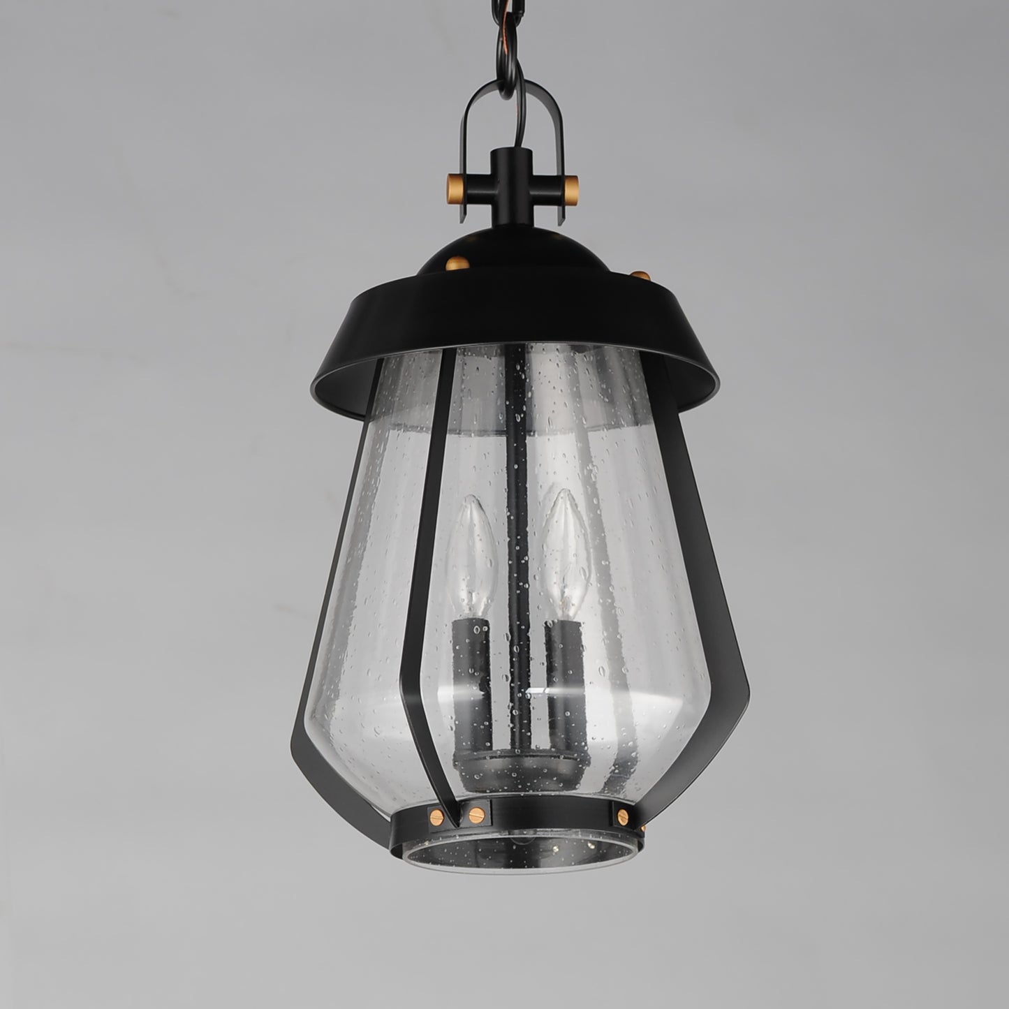Mariner Large 2-Light Outdoor Pendant Black/Antique Brass by Maxim Lighting
