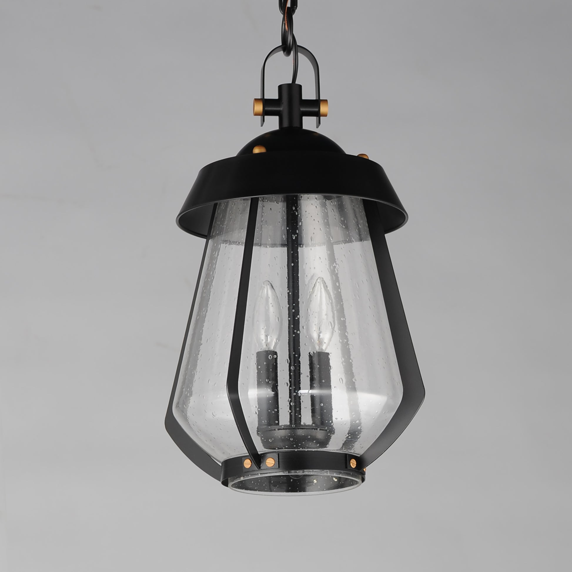 Mariner Large 2-Light Outdoor Pendant Black/Antique Brass by Maxim Lighting