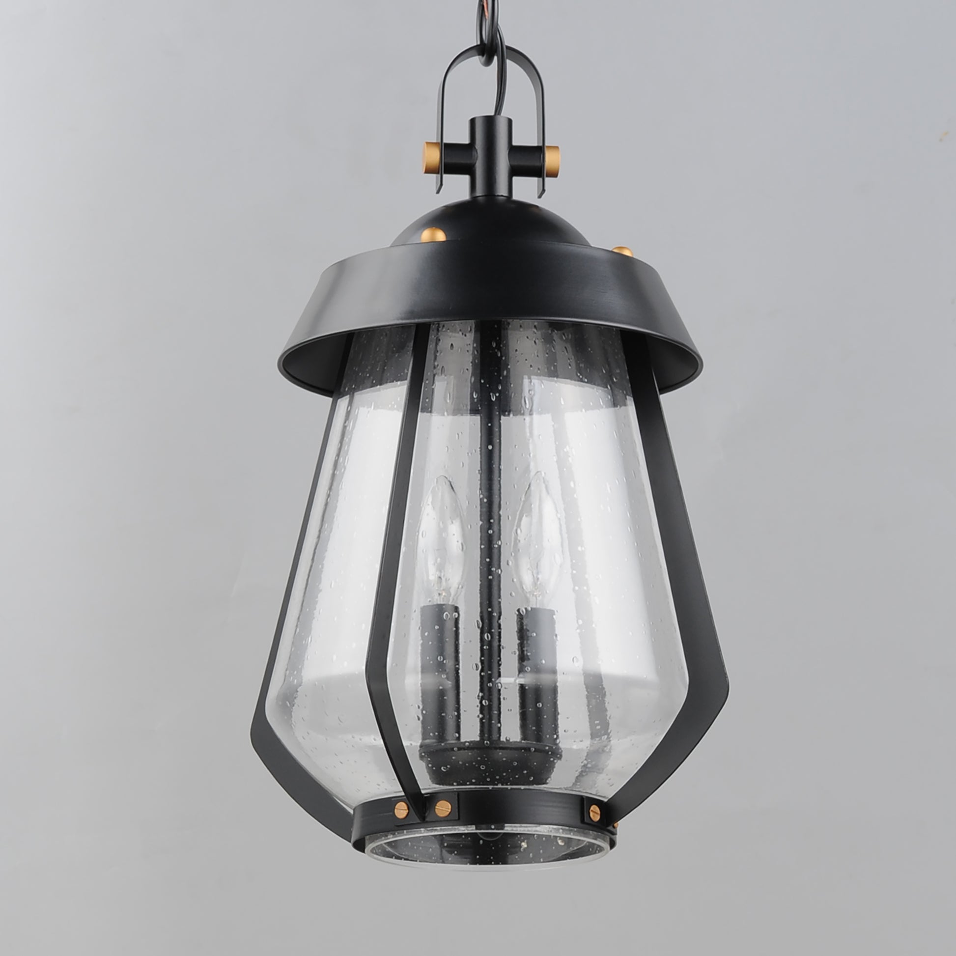 Mariner Large 2-Light Outdoor Pendant Black/Antique Brass by Maxim Lighting