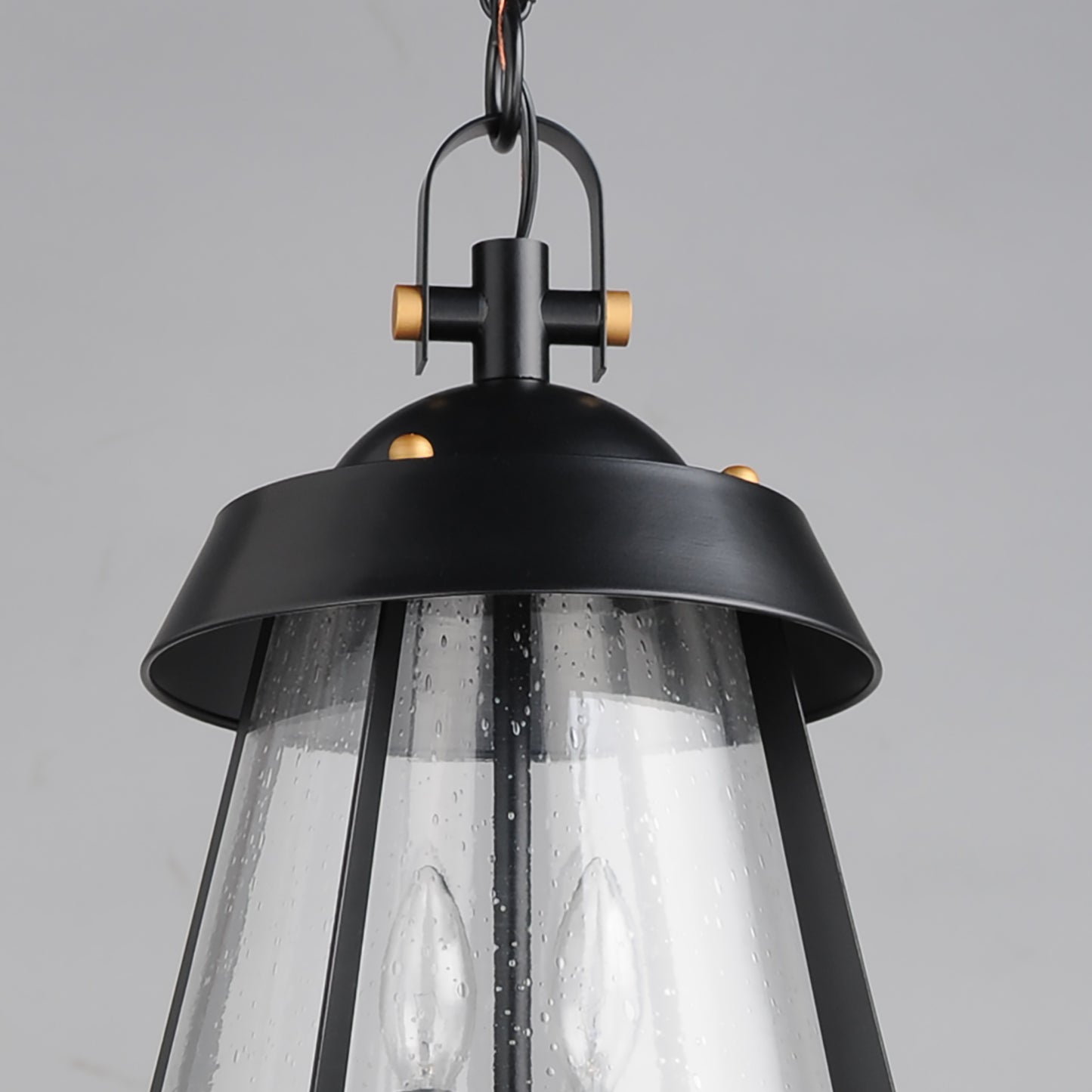 Mariner Large 2-Light Outdoor Pendant Black/Antique Brass by Maxim Lighting