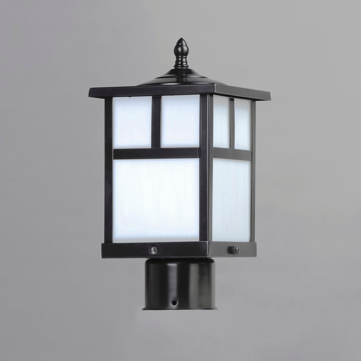 Coldwater Outdoor Pole/Post Lantern Black by Maxim Lighting