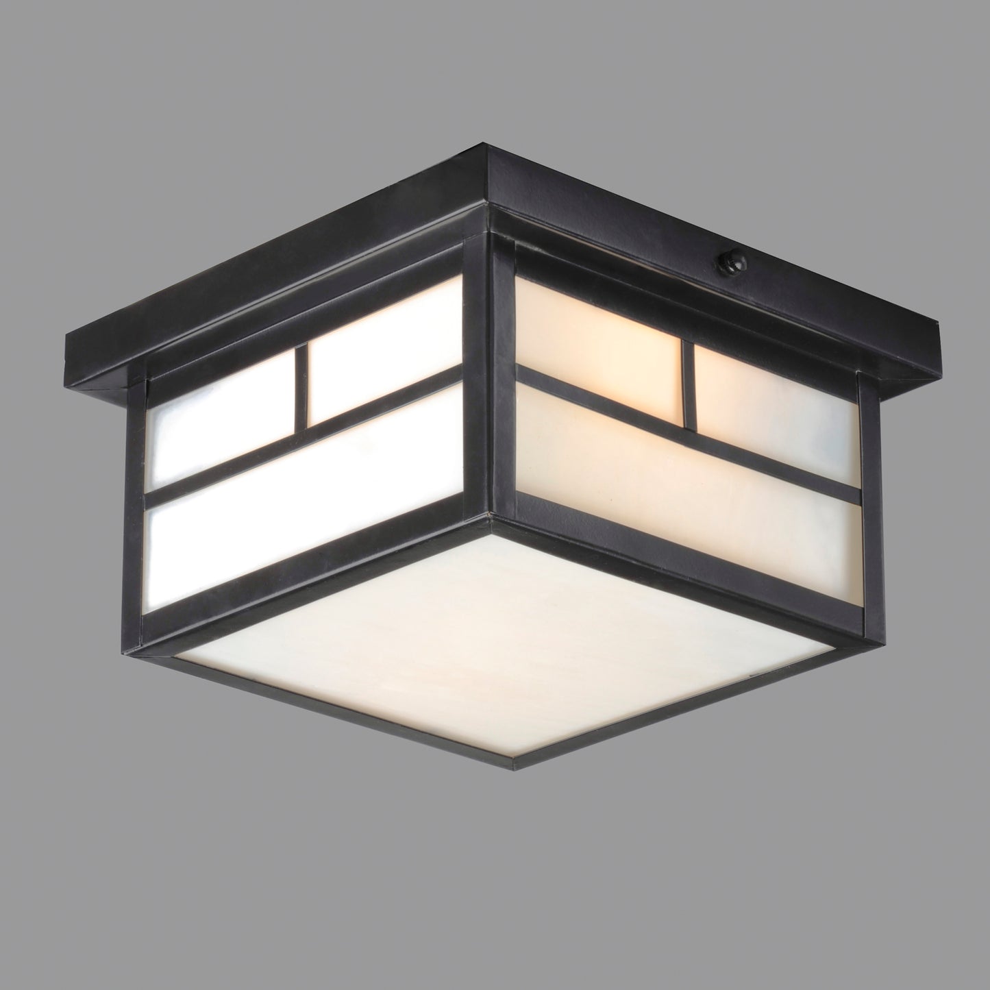 Coldwater 2-Light Outdoor Ceiling Mount Black by Maxim Lighting