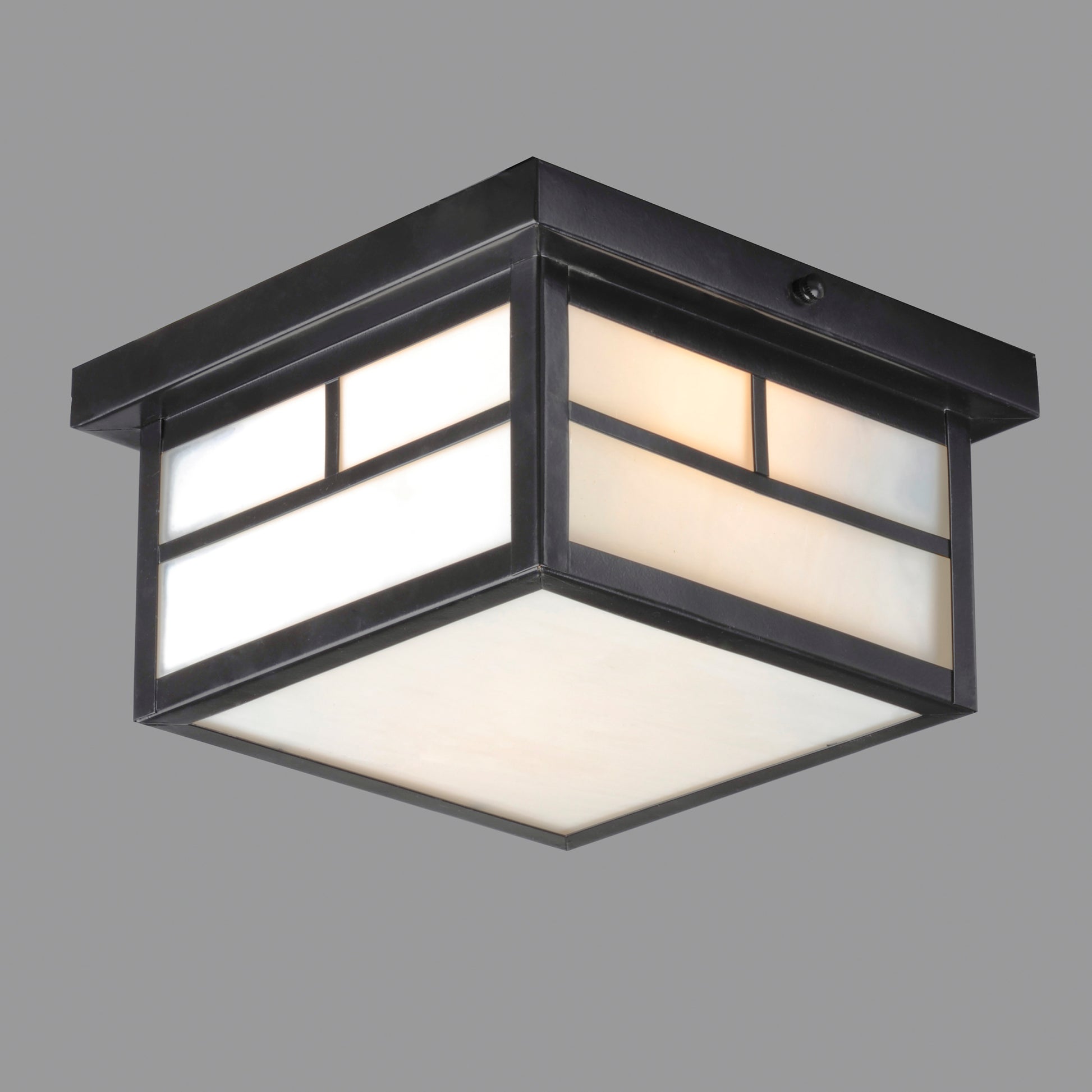 Coldwater 2-Light Outdoor Ceiling Mount Black by Maxim Lighting
